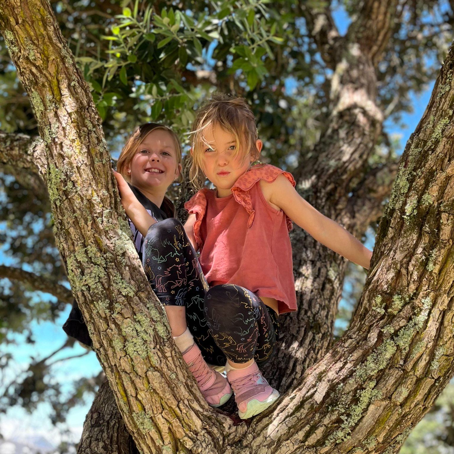 Springlands School added a new photo. - Springlands School