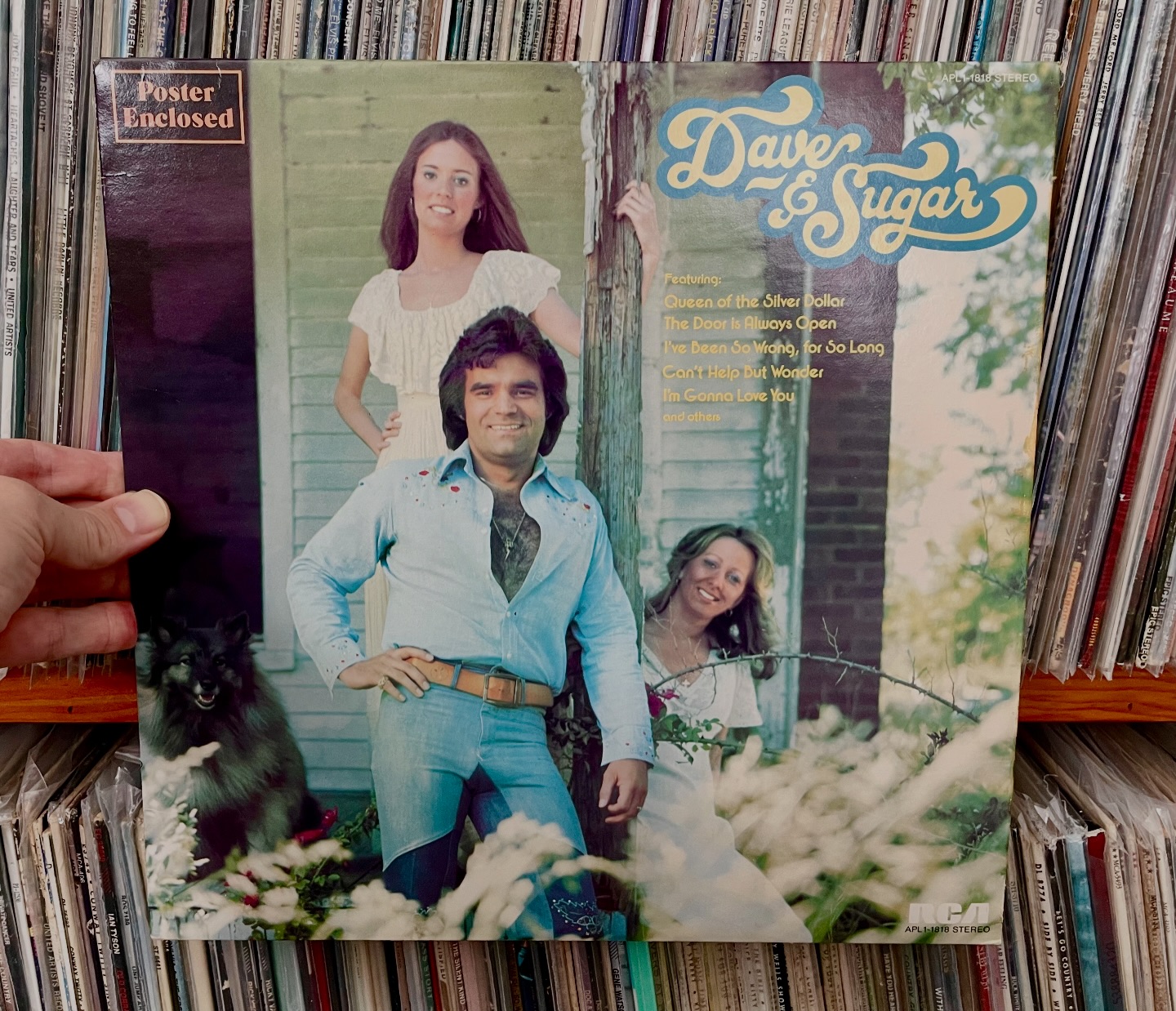 Dave and Sugar anthology album review with greatest hits