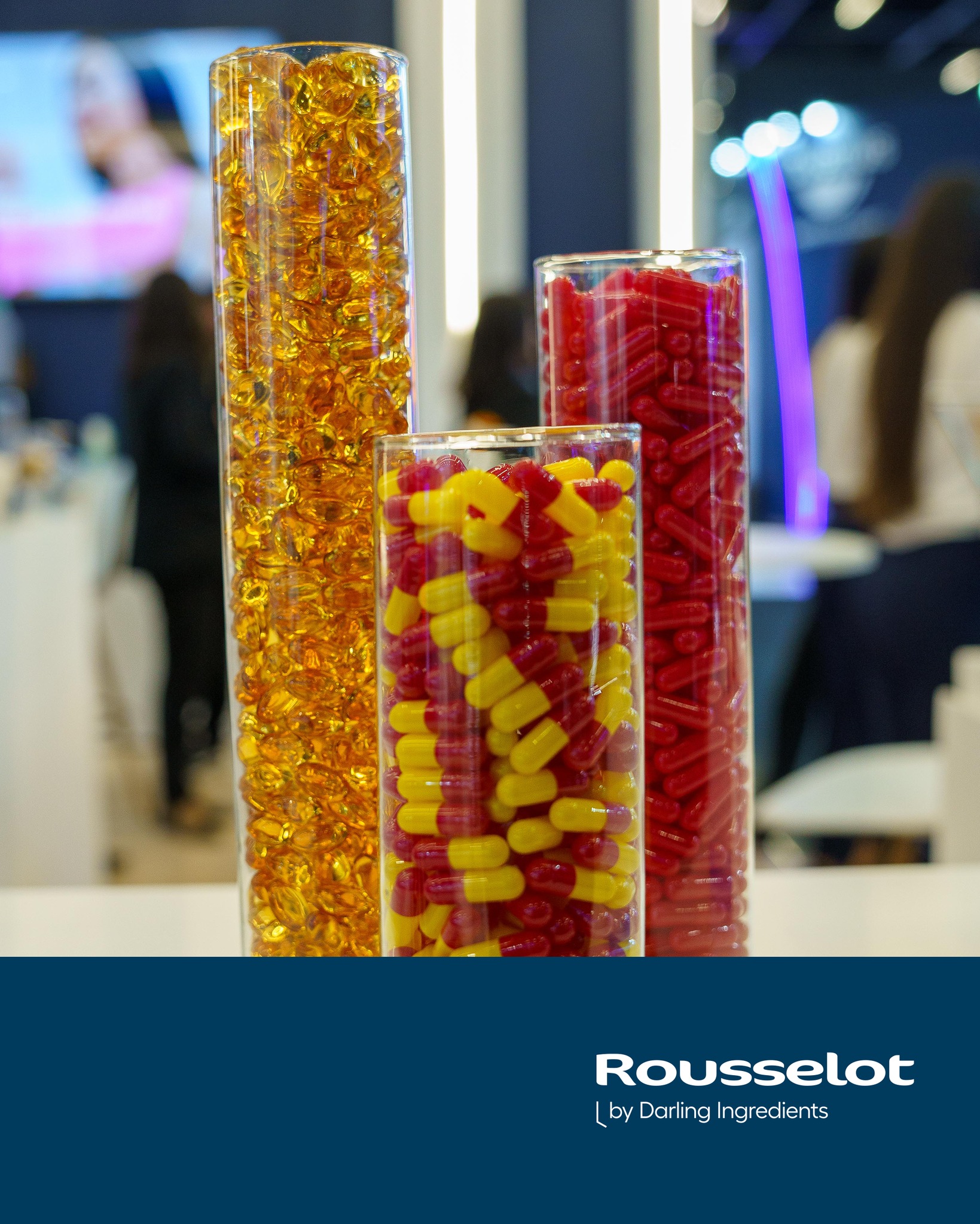 Rousselot Latam | São Paulo SP