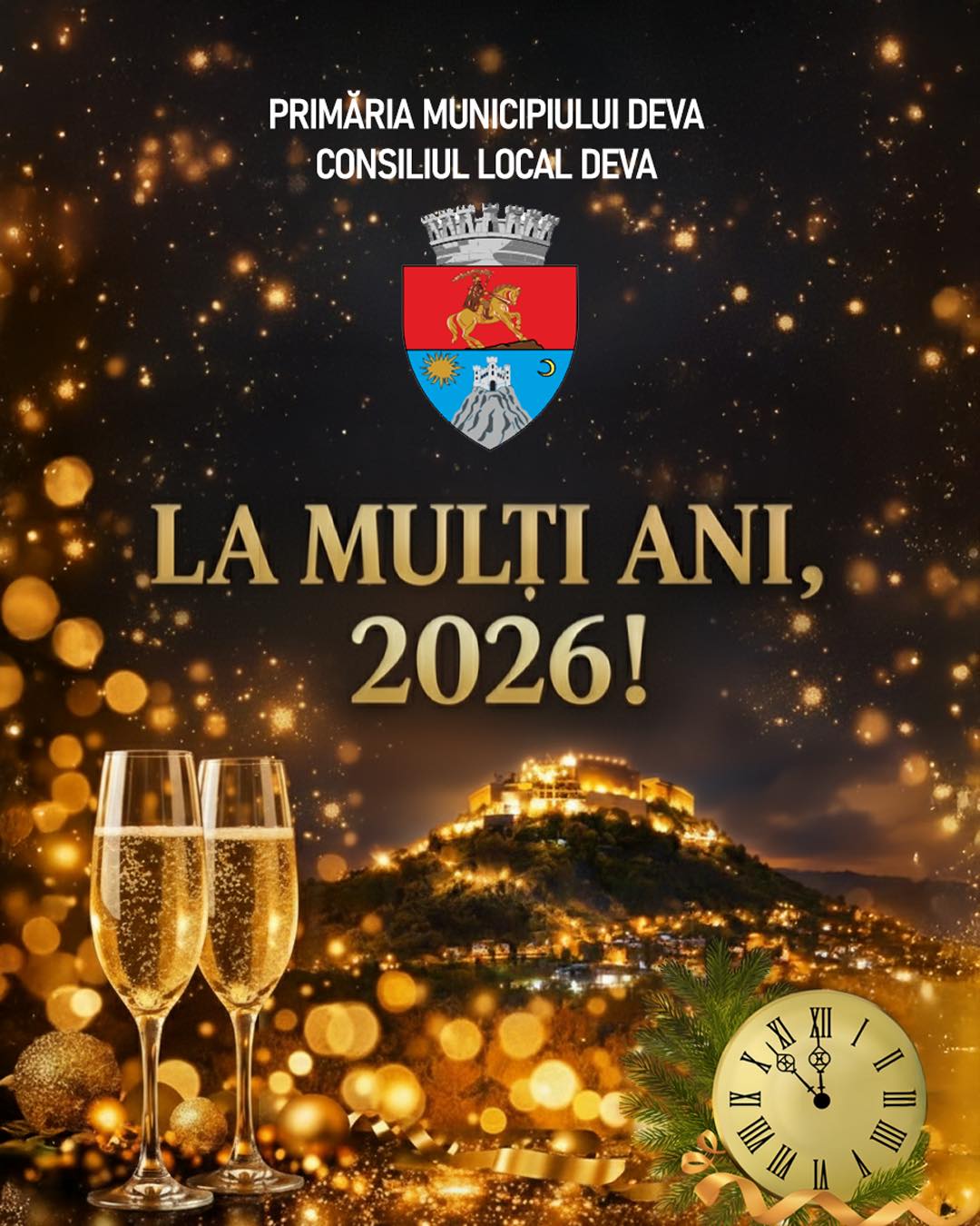 Primăria Municipiului Deva... - Primăria Municipiului Deva