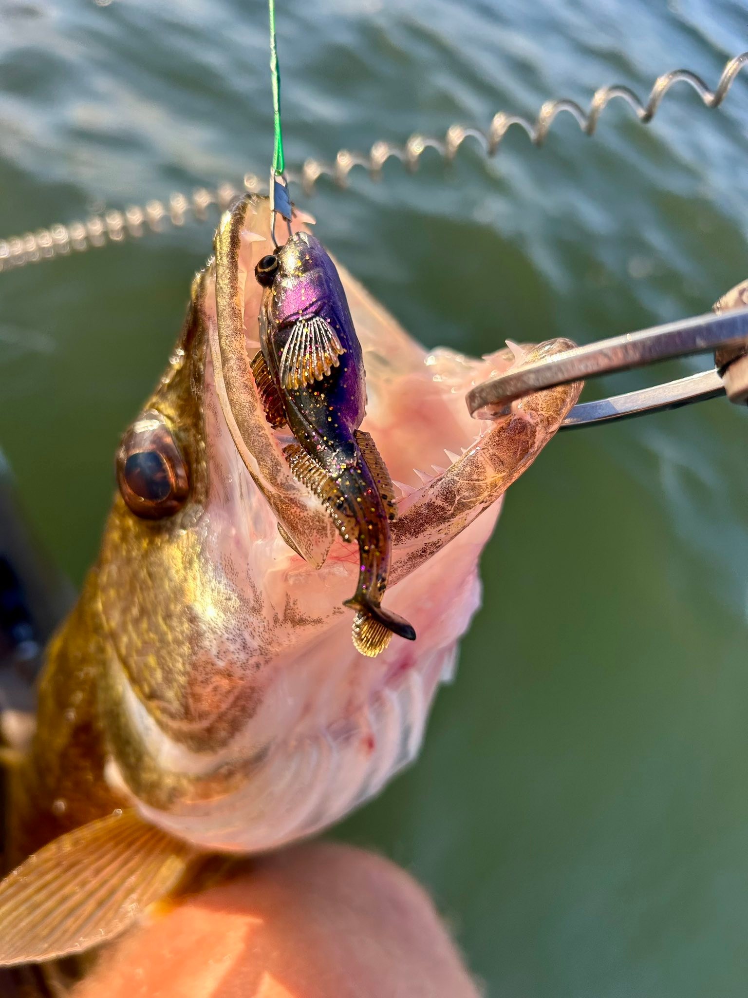 best fishing lures for lake erie walleye Slammer What is the best lure