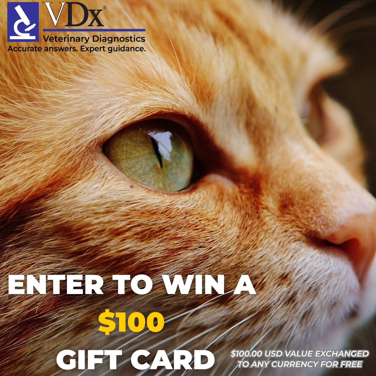 VDx Veterinary Diagnostics