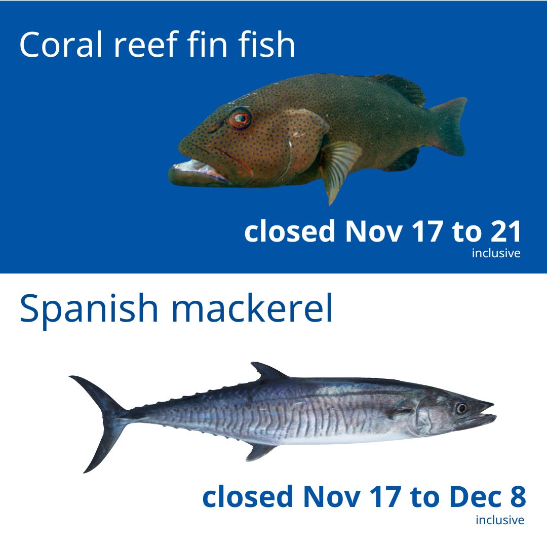 🚫🎣 Seasonal Closures: Coral... - Townsville Game Fishing Club | Facebook