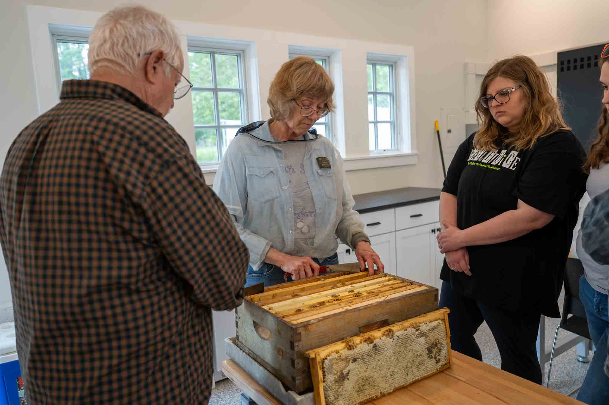 Allerton - Learn how to winterize a beehive and how to care for bees in ...