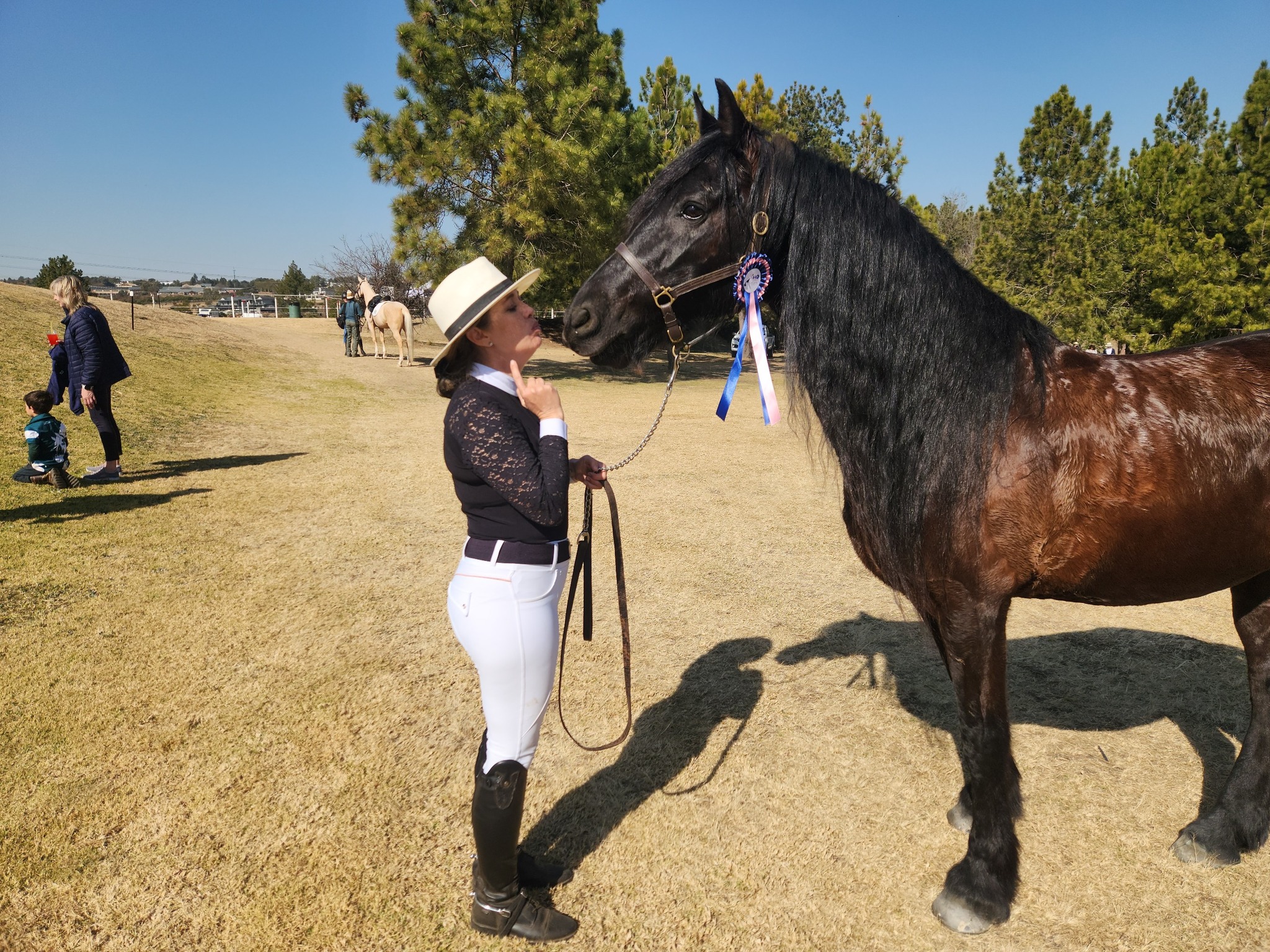 The Paddock Equestrian... - The Paddock Equestrian Centre