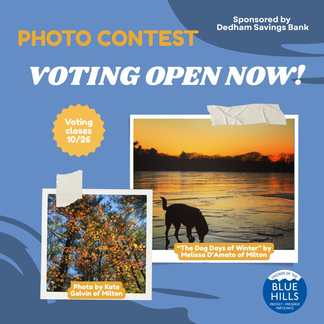 Friends - Voting is underway for the 2025 Photo Contest! Hurry to make ...