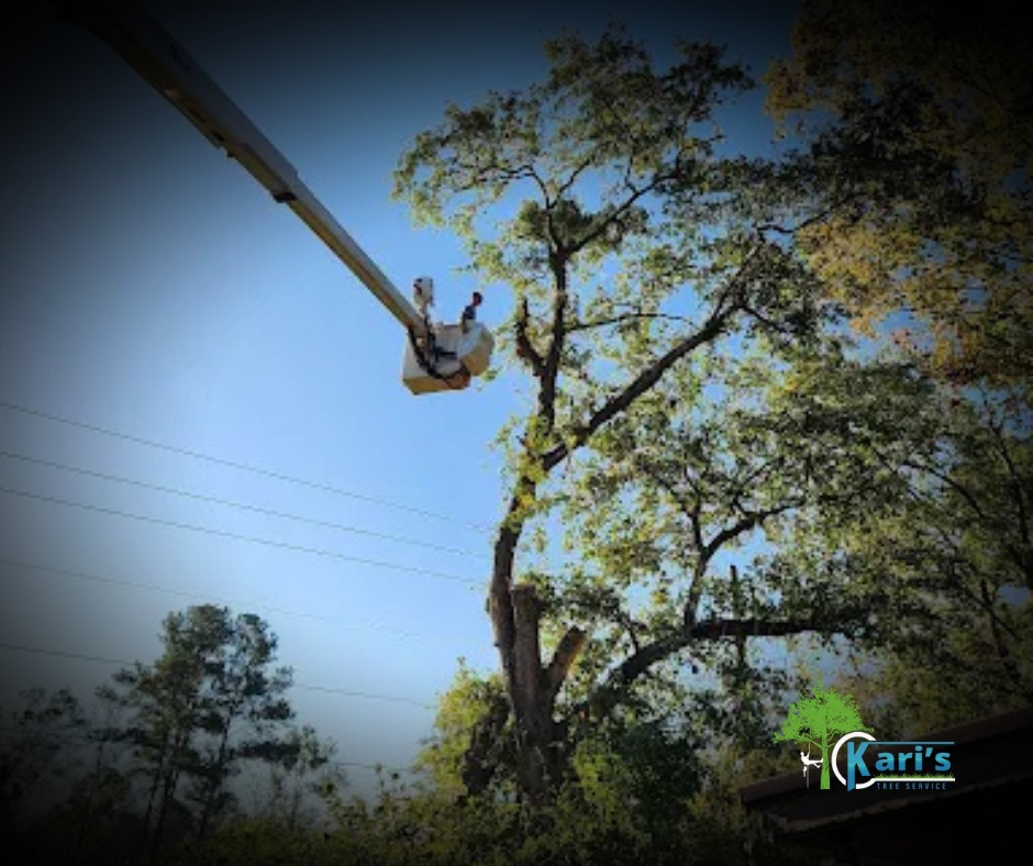 Kari's Tree Service | Lake City FL