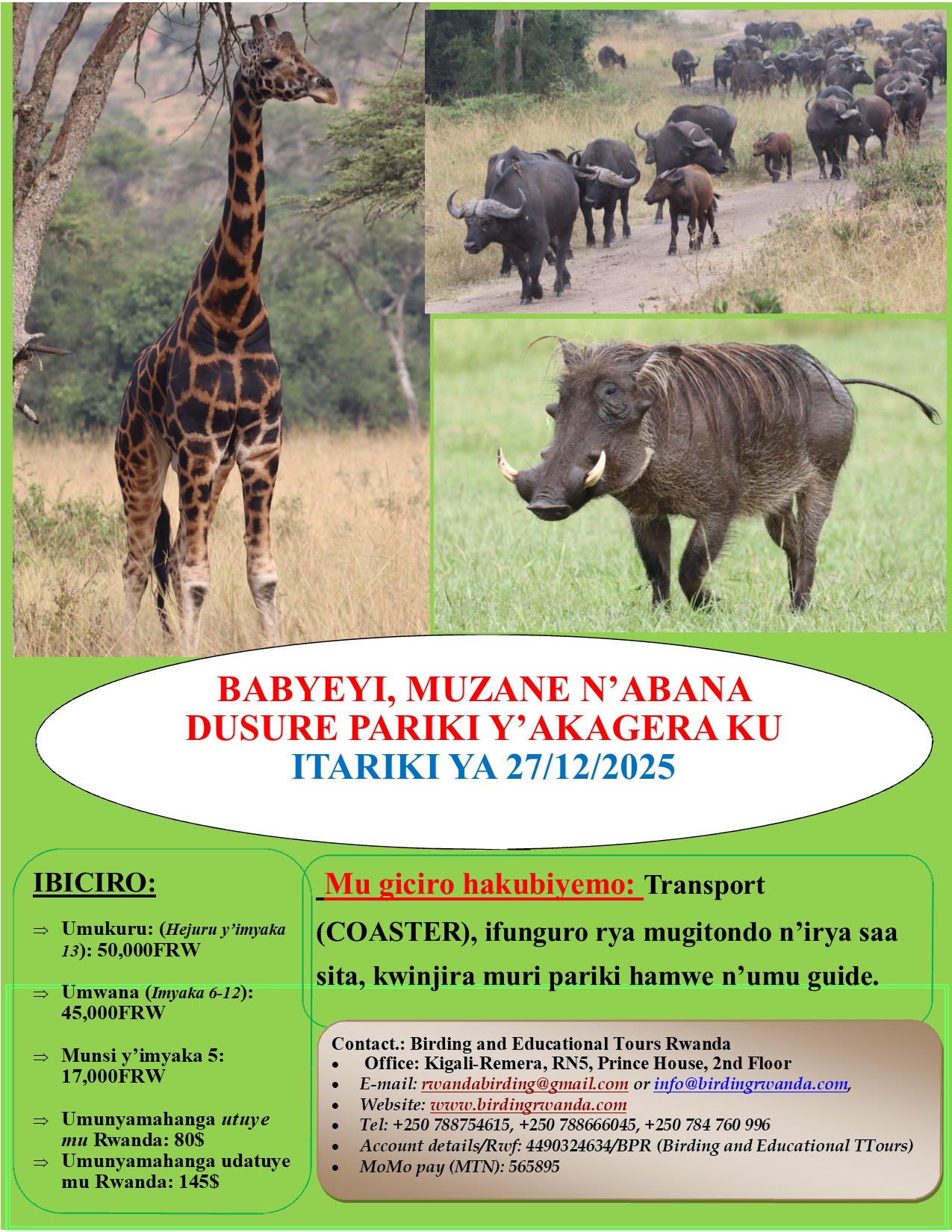 Rwanda Birding Ecotours