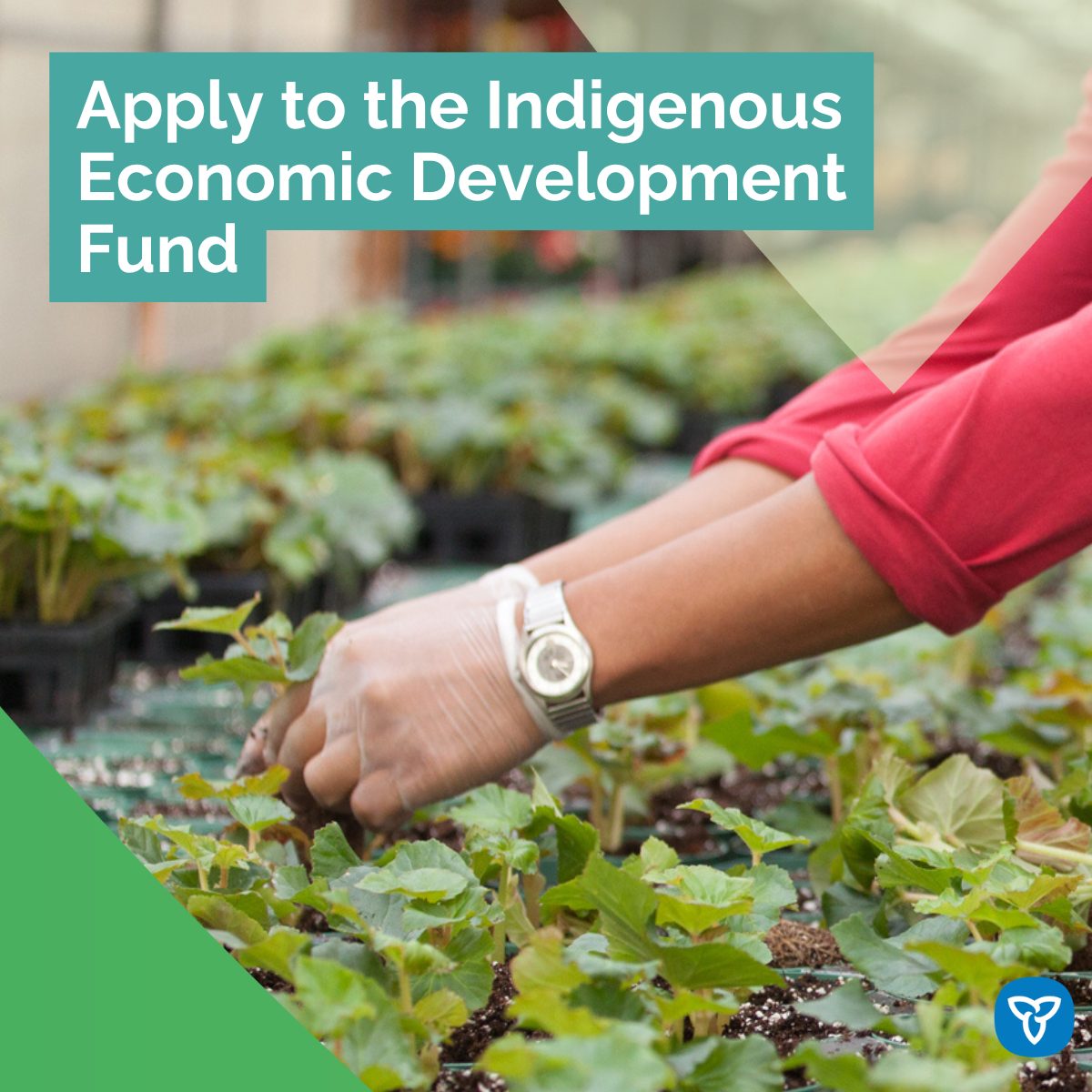Ontario Ministry of Economic Development, Job Creation and Trade