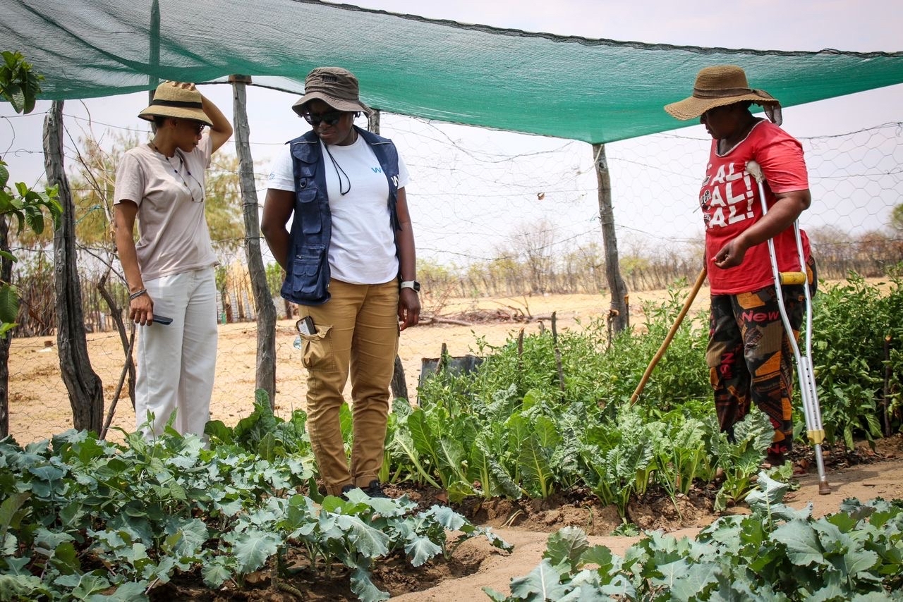Eagle - WFP, Capricorn Foundation & DAPP Strengthen Food Security in ...