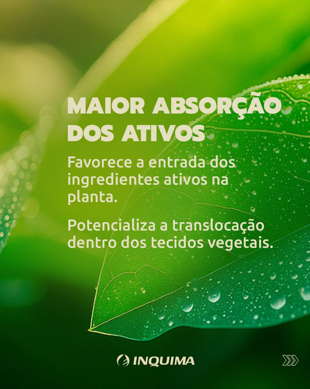 Inquima - Um cuidado extra no tratamento de doenças fúngicas é ...