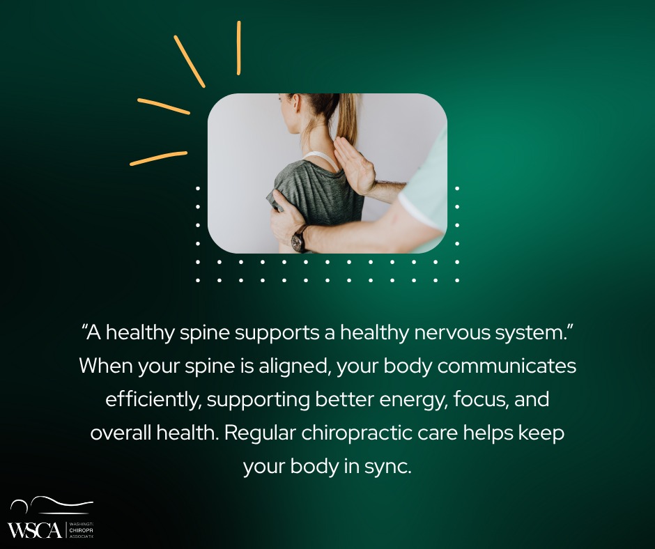 Washington - “A healthy spine supports a healthy nervous system.” ️ ...