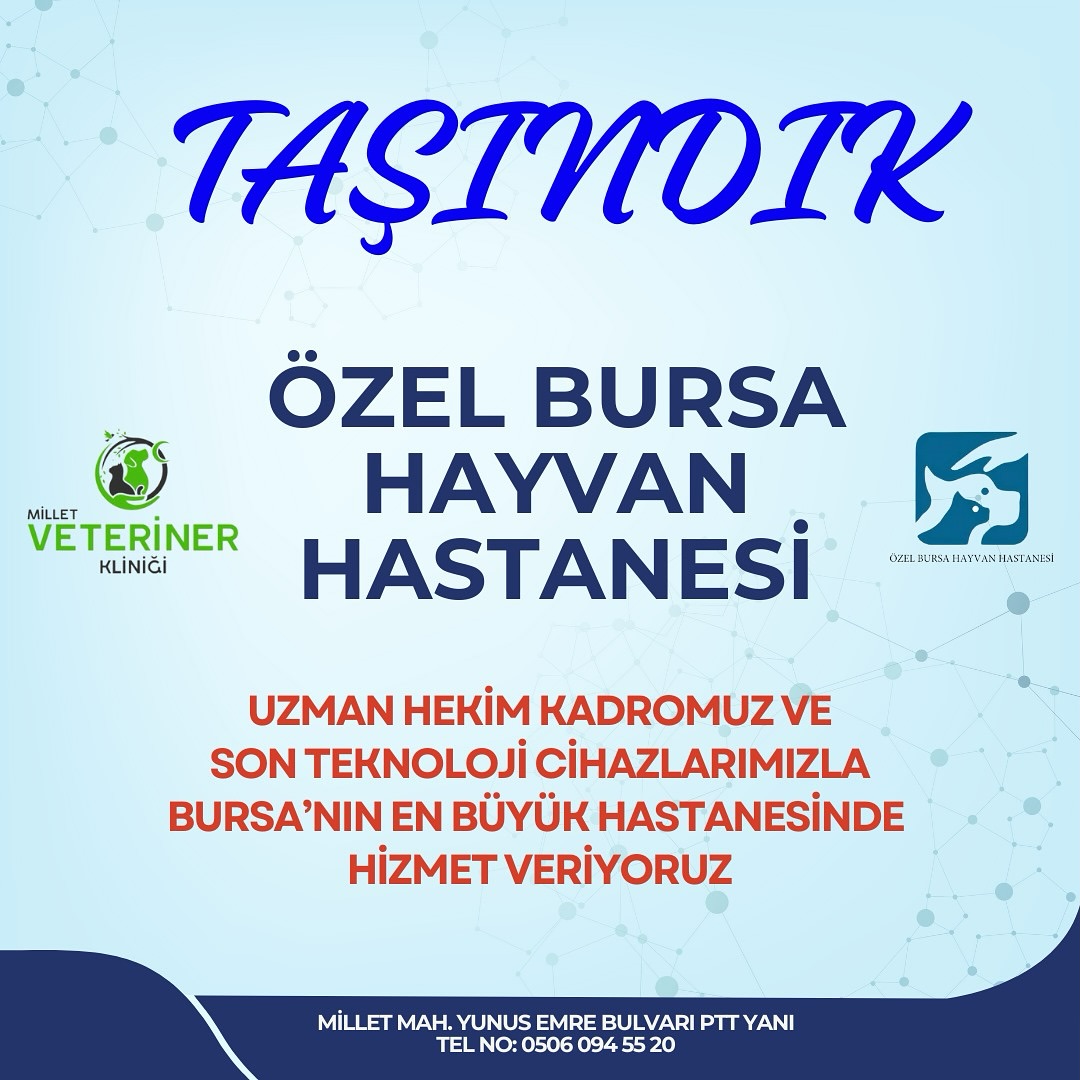 milletveterinerklinigi | Bursa