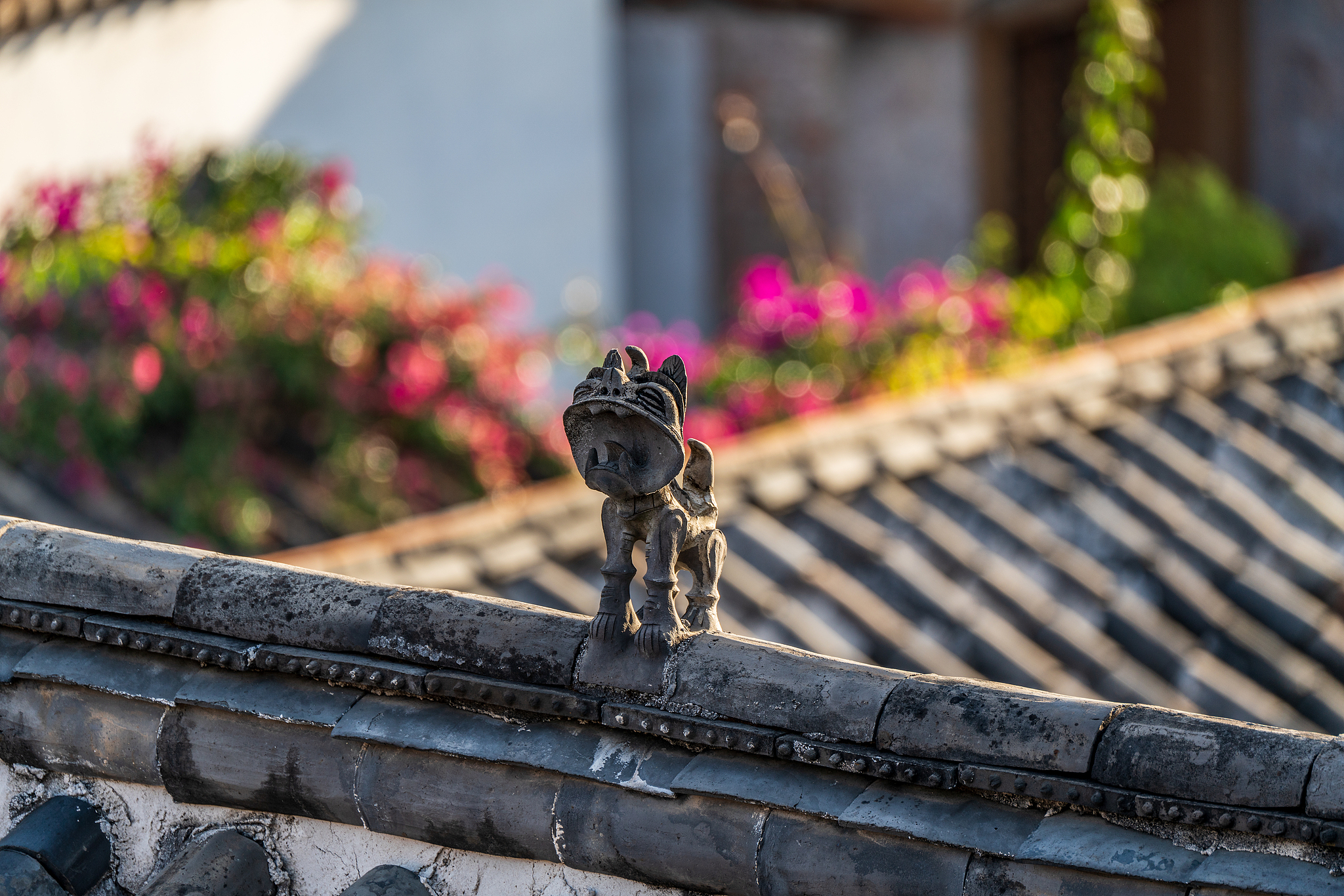 Yunnan's tile cat rooftop guardian