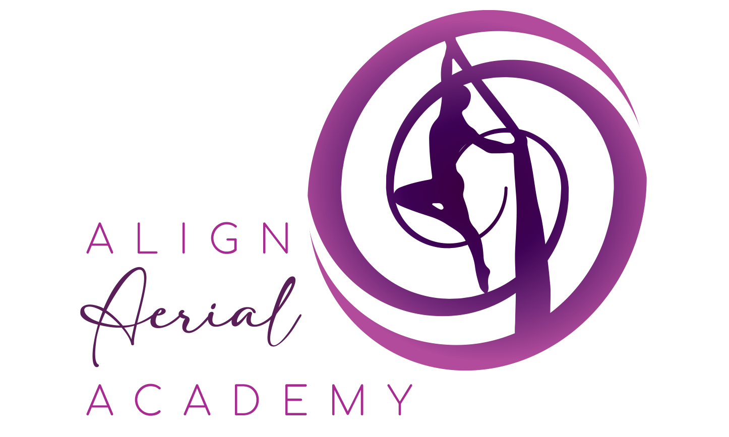 Align Aerial Academy | Tahoe Vista CA
