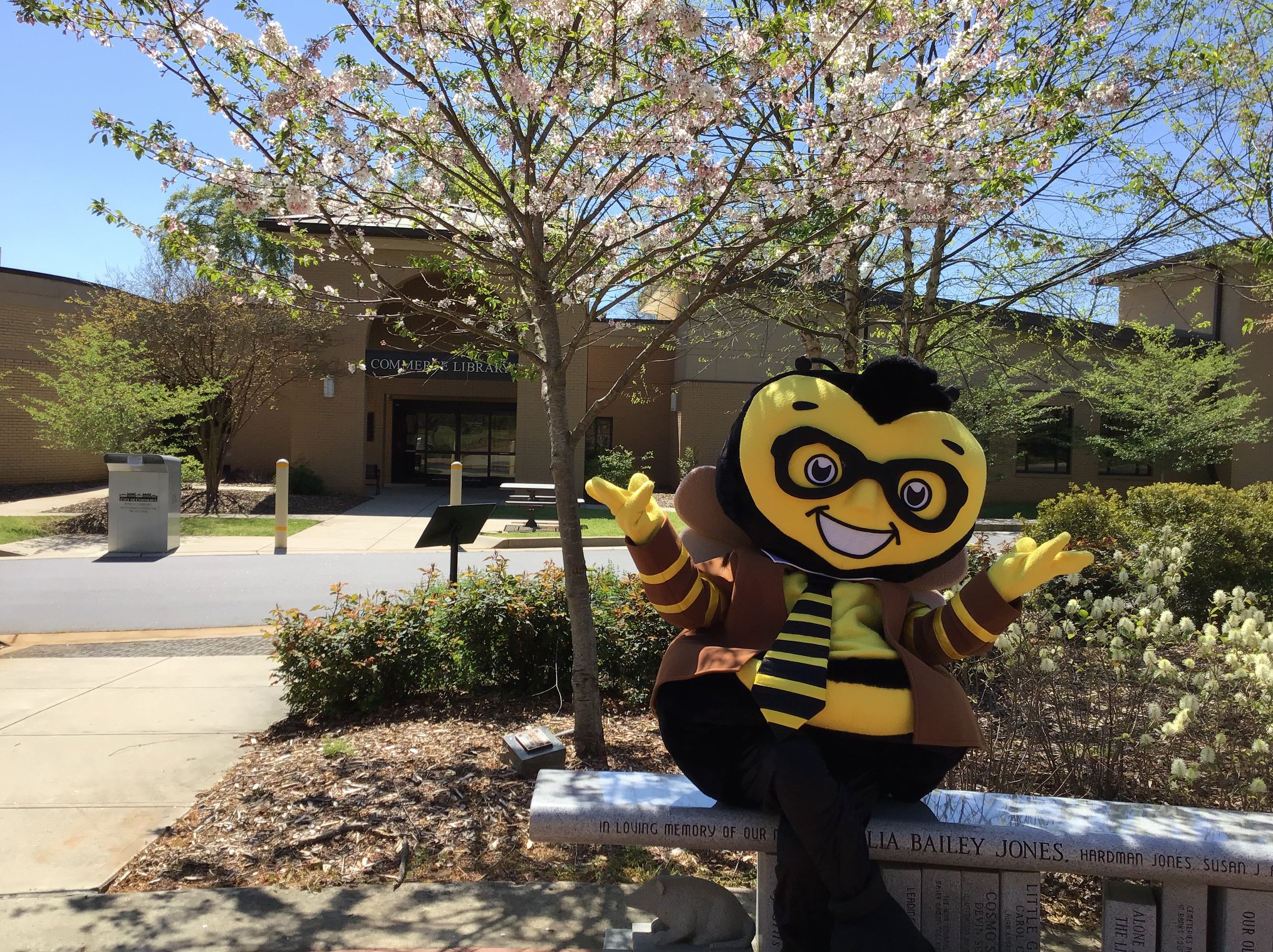 Commerce Public Library | Commerce GA
