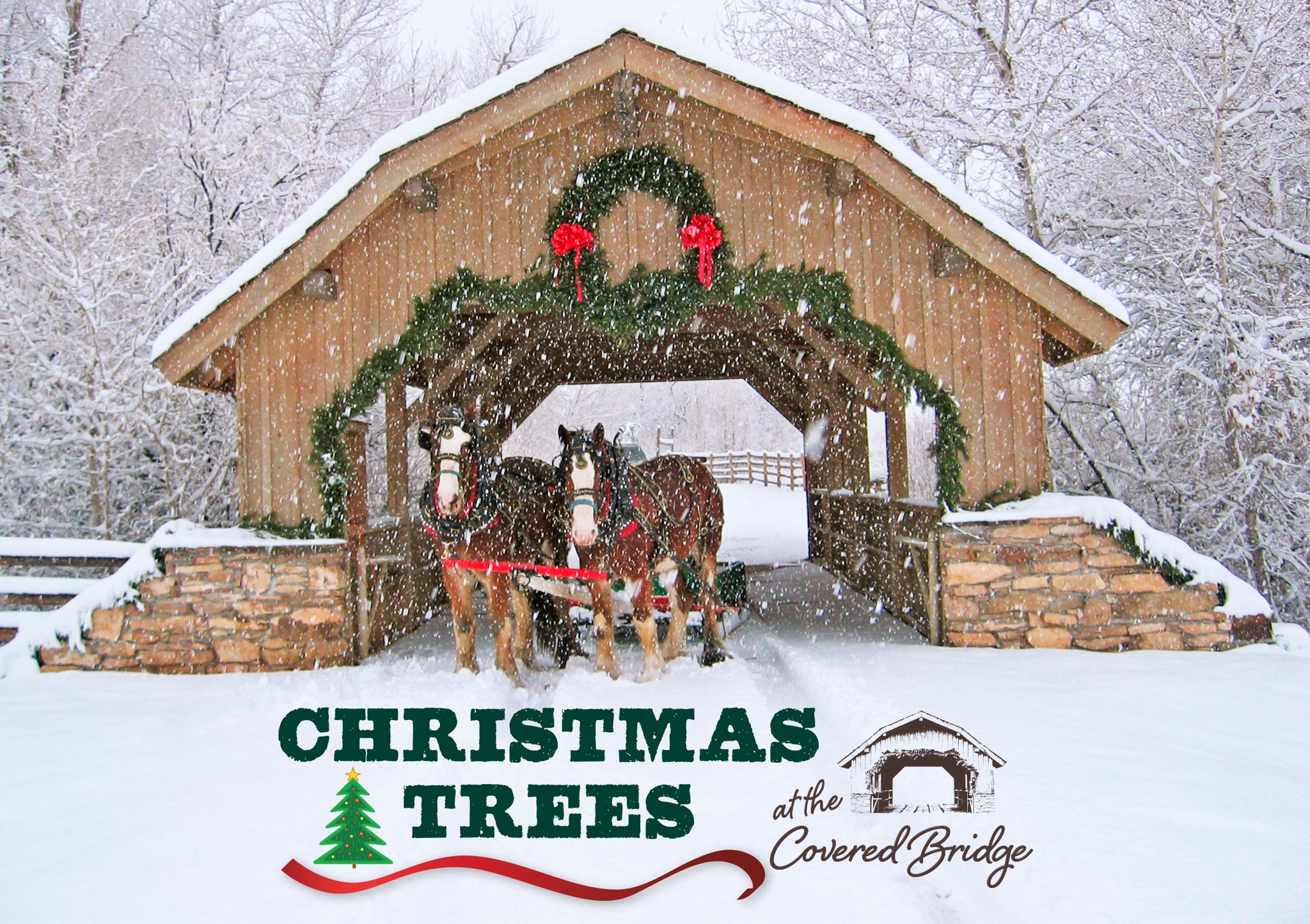Covered Bridge Ranch | Montrose CO