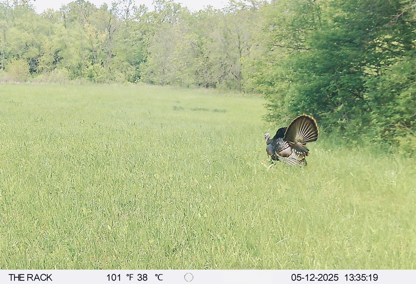 The Rack - 2026 Forty Pounder. #40 #2026 The Rack - Missouri, LLC ...