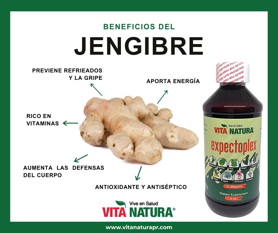 VITA - ¿Sabías que el jengibre es conocido por ayudar a combatir las ...