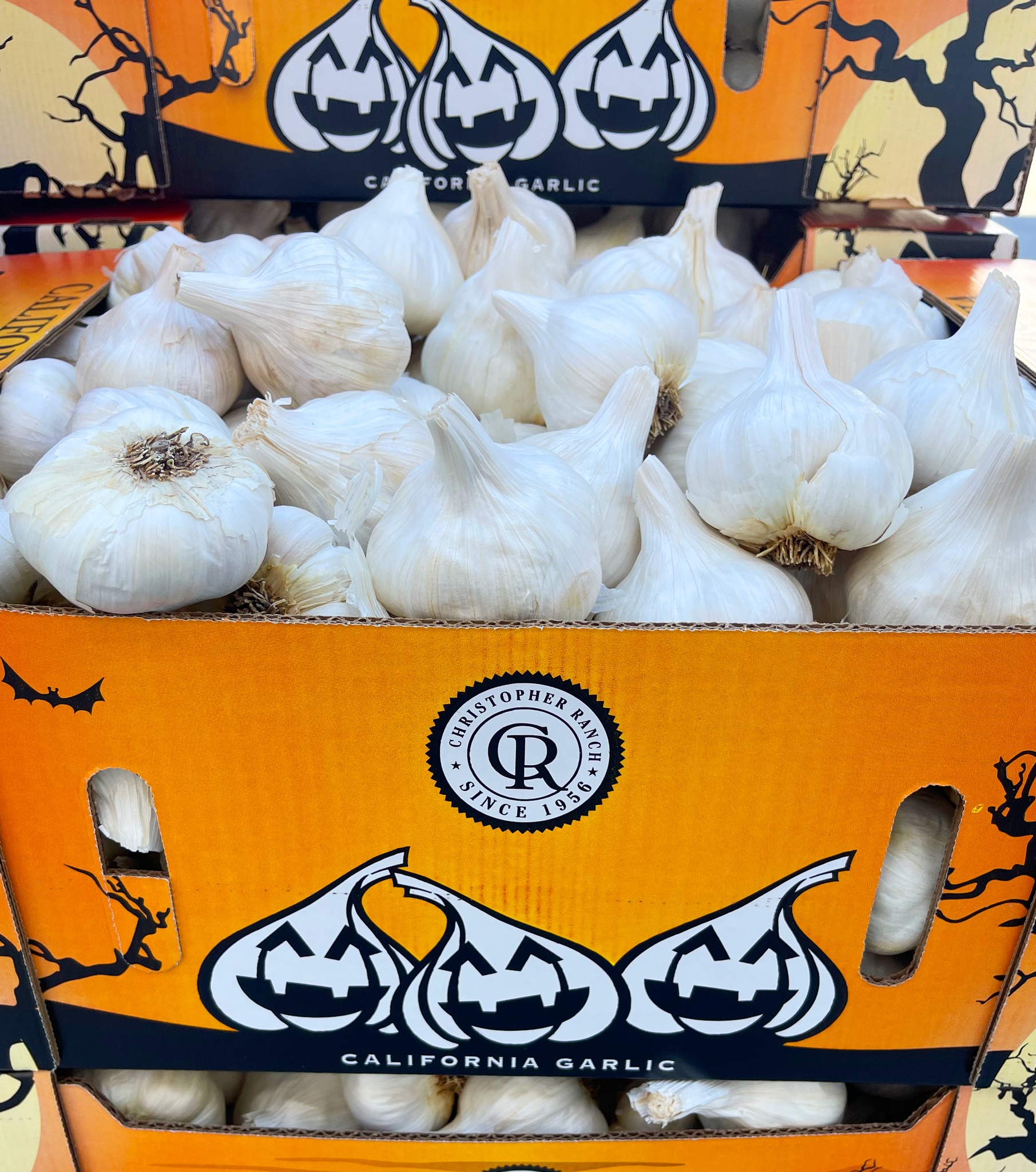 Christopher - As garlic has a central role in some of the spookiest ...