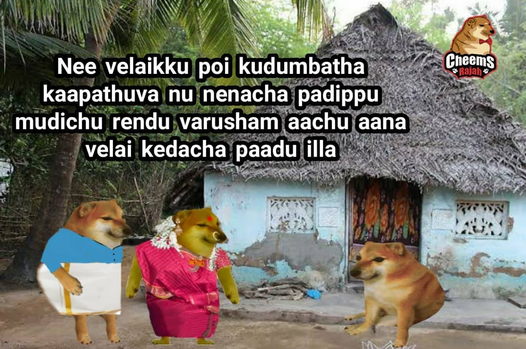 Cheems Rajah - *Le Cheating Doge has Arrived