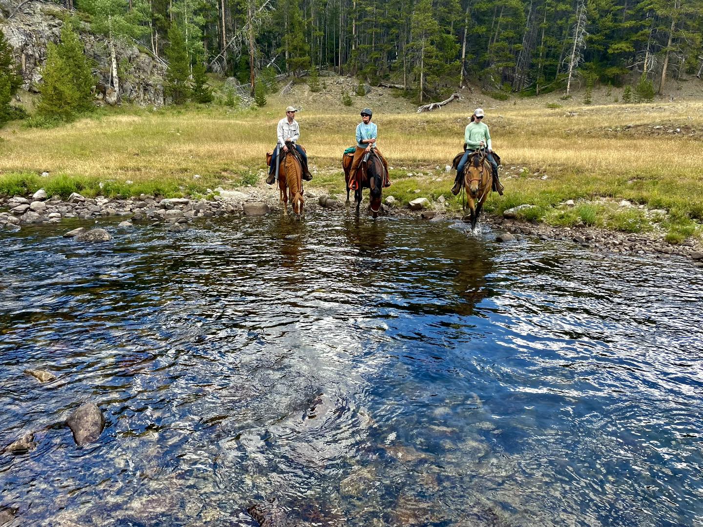 Exclusive 2025 Wyoming pack trips... - Cross Country Equine | Facebook
