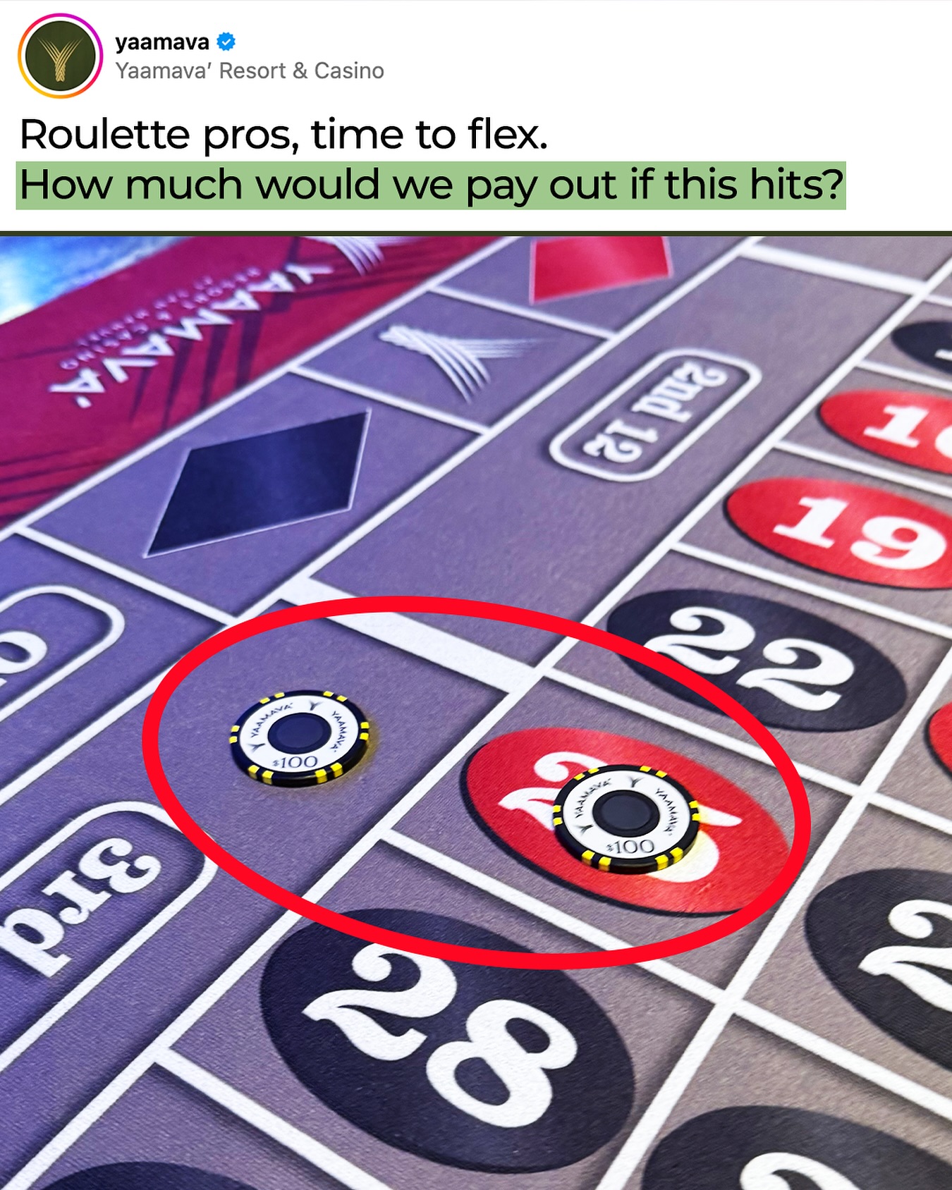 Review: Progressive Jackpots bei Spin Dinero Casino in Deutschland