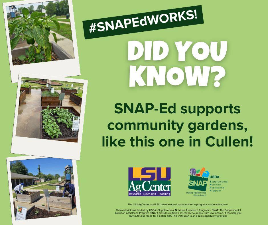 Dr. Shakera Williams, Webster... - LSU AgCenter SNAP-Ed | Facebook