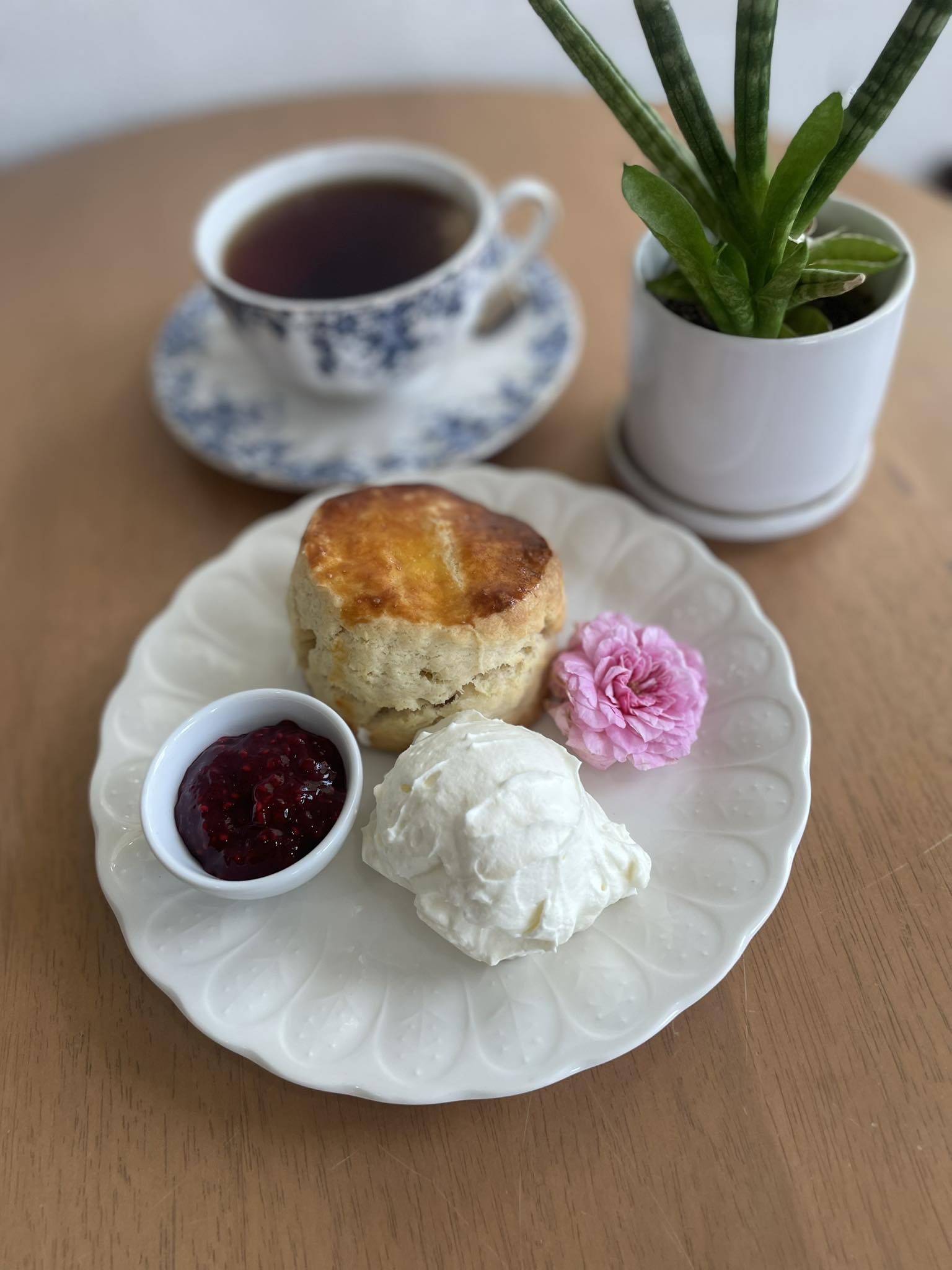 Rosemary - ช่วงบ่าย มา Afternoon tea กันมั้ยคะ 🍵 Scone +clotted cream ...