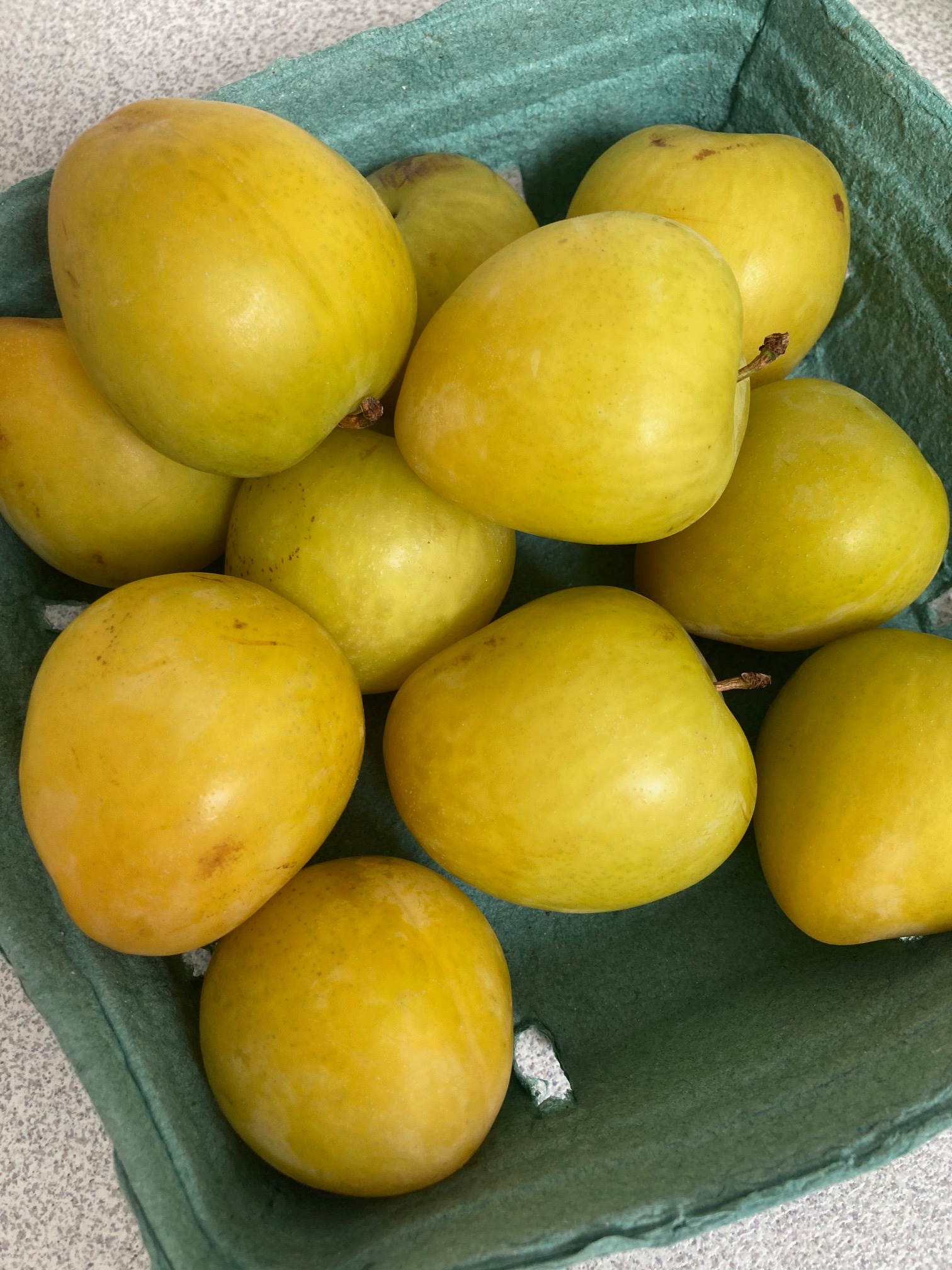 A Fruit That Looks Like a Peach but Is Not a Peach] Japanese plums 