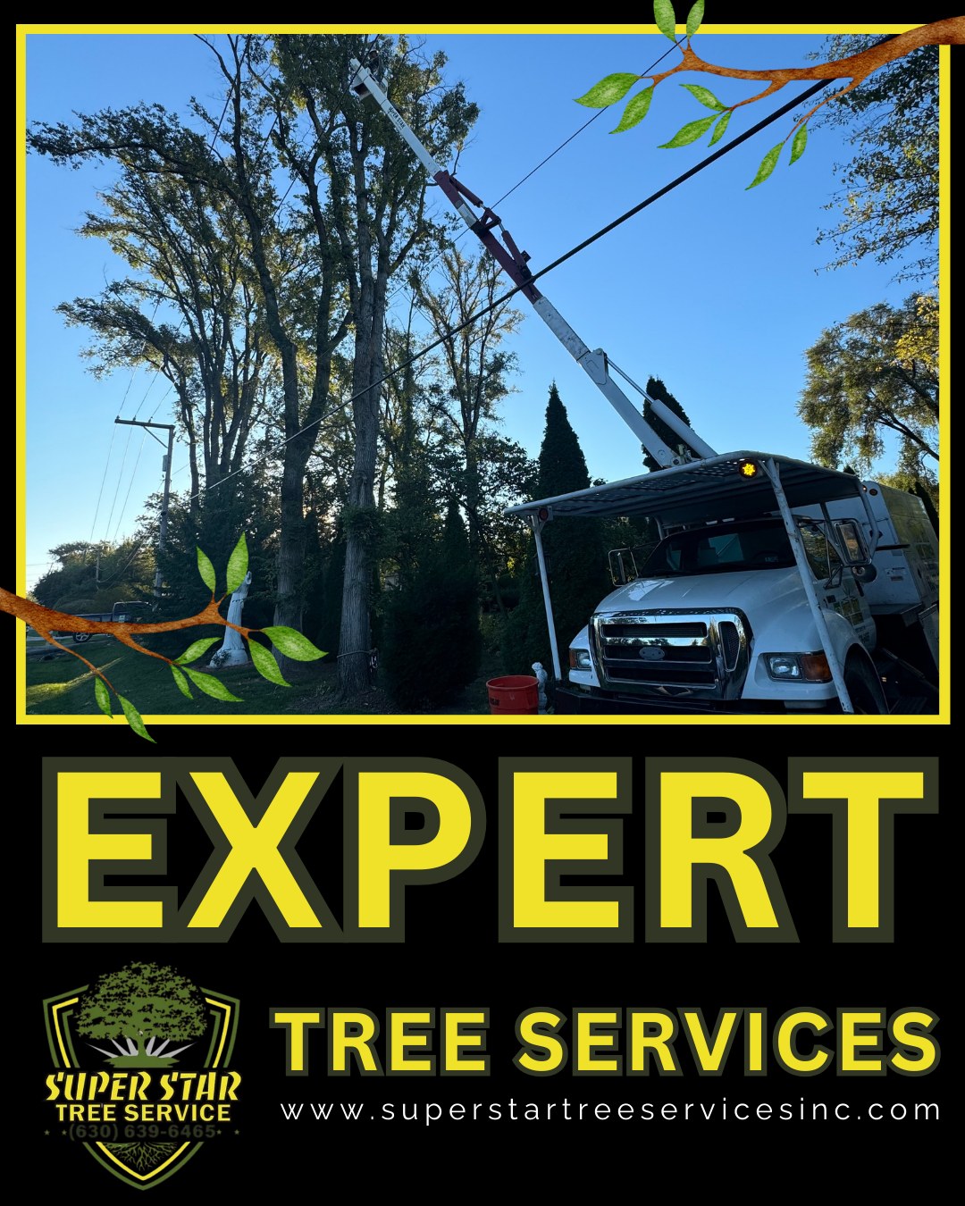Super Star Tree Service Inc | West Chicago IL