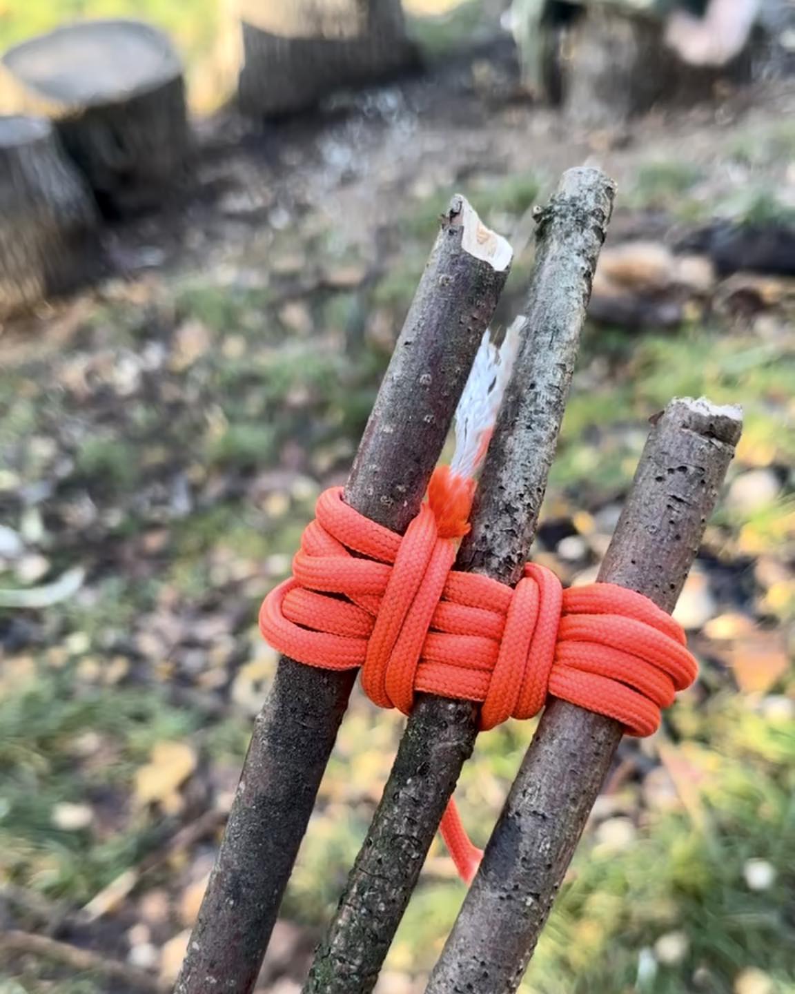 Wild&Green - Strong knots, stronger skills! Mastering the tripod ...