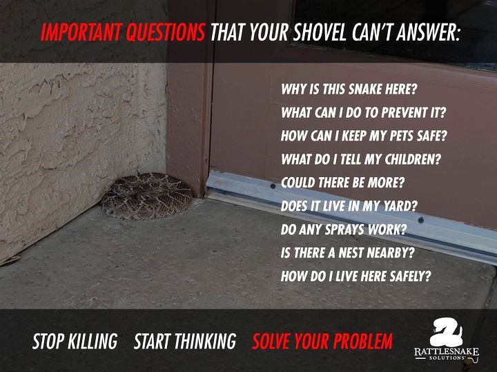 View of The Snake Anti-Defamation League