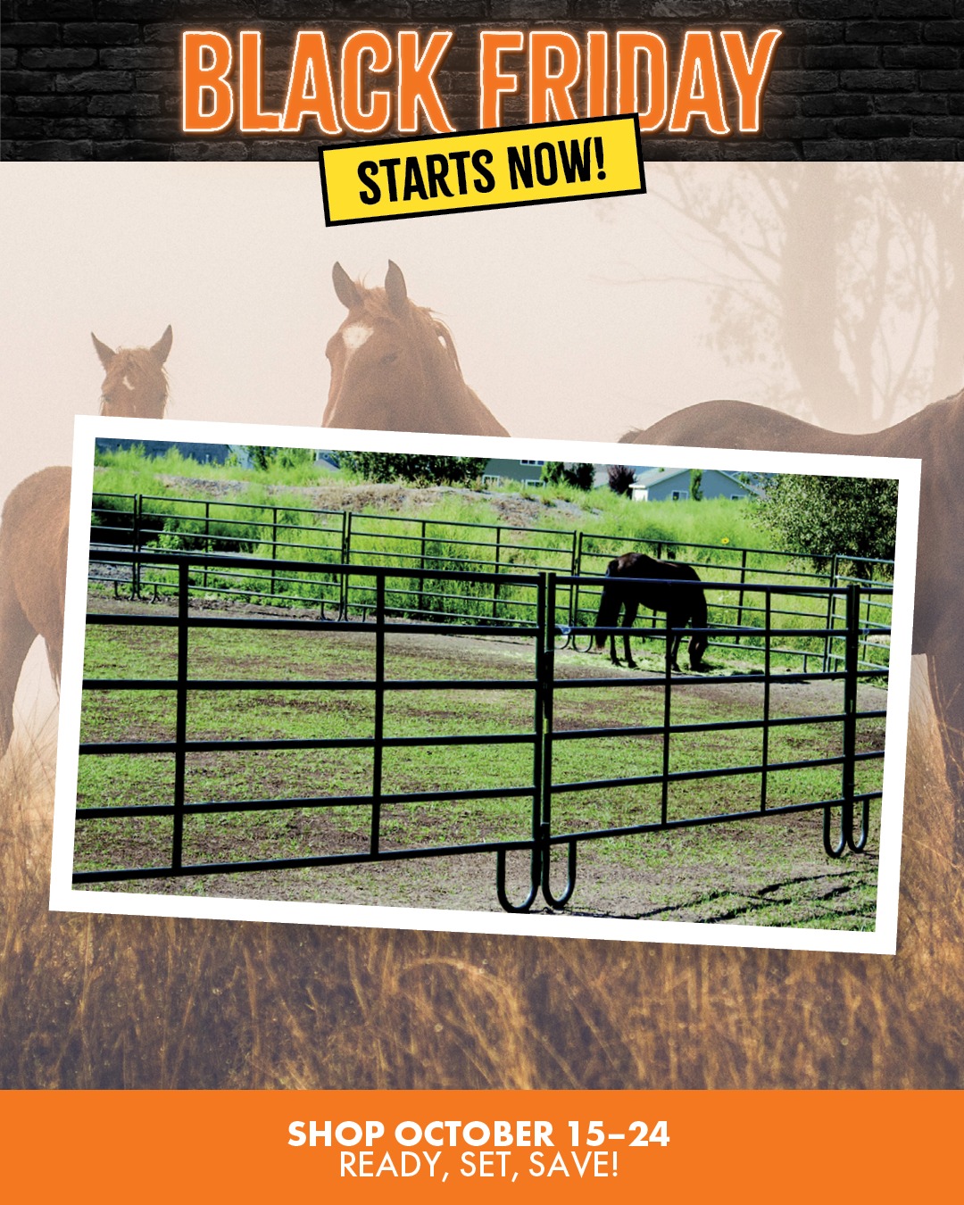 C-A-L - ⚠️ Black Friday SAVINGS ahead! ⚠️ Get $25 OFF Powder Creek 12 ...