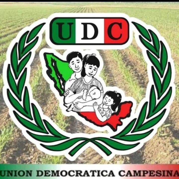 SOMOS TU MEJOR OPCION !!!... - Udc San Miguel DE Allende | Facebook