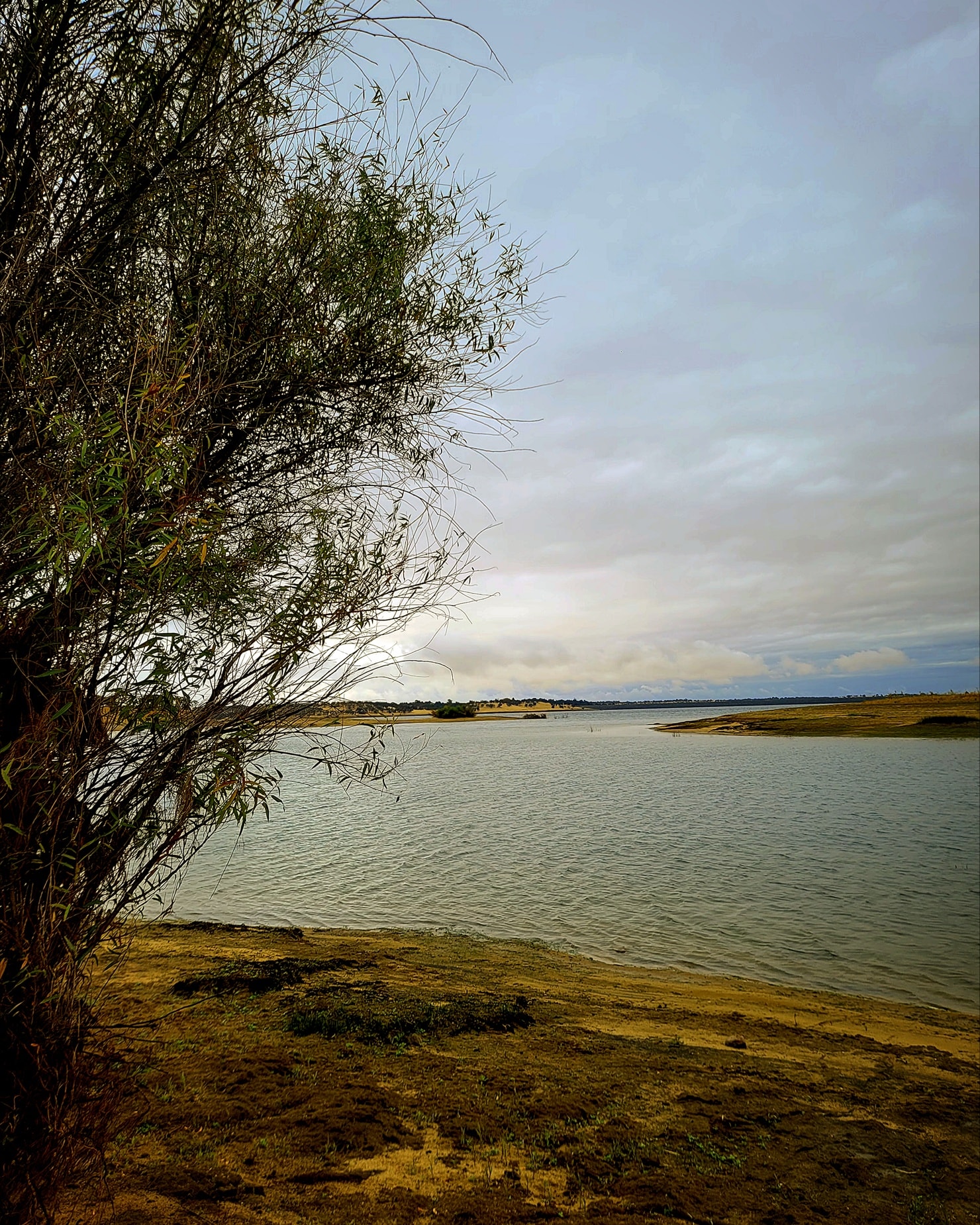 Lake - 🌊 Adventure calls at Lake Camanche! Hike the shoreline, cast ...