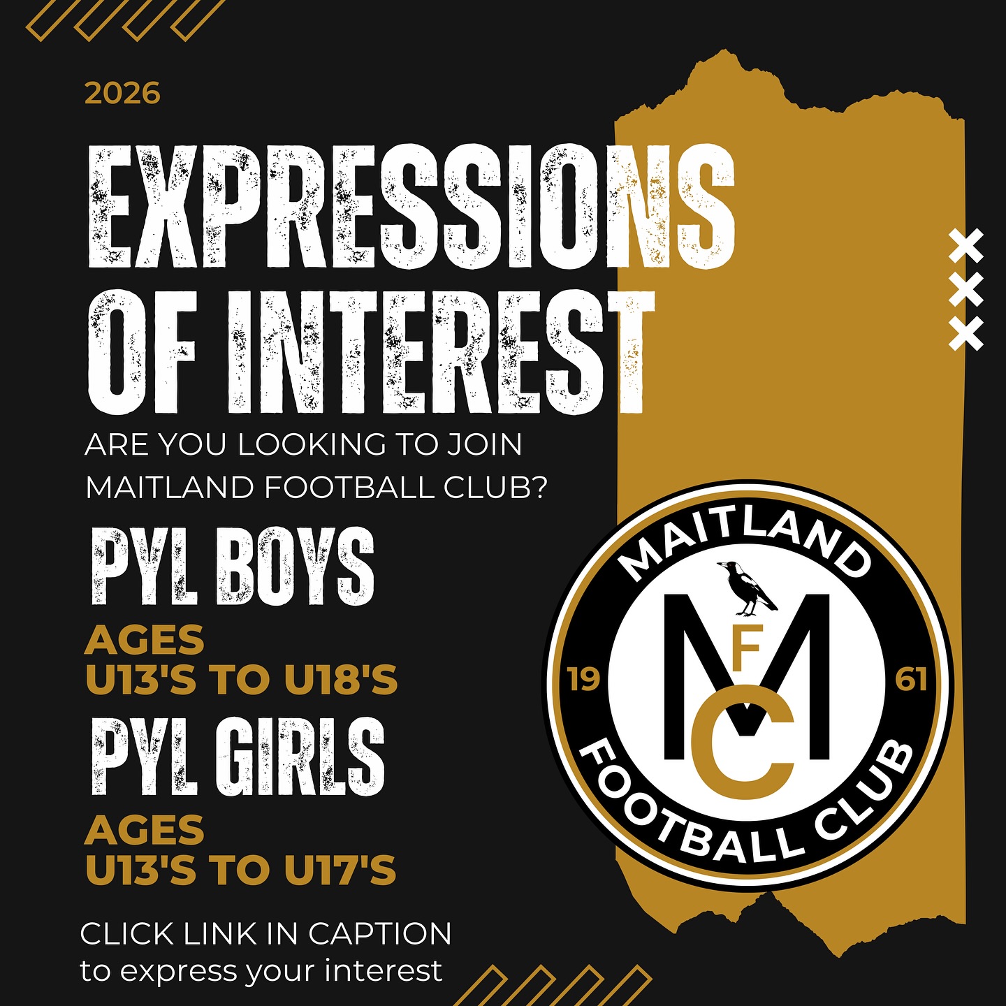 Maitland FC - ⚽ EOI Now Open - PYL 2026 ⚽ Want to be part... | Facebook