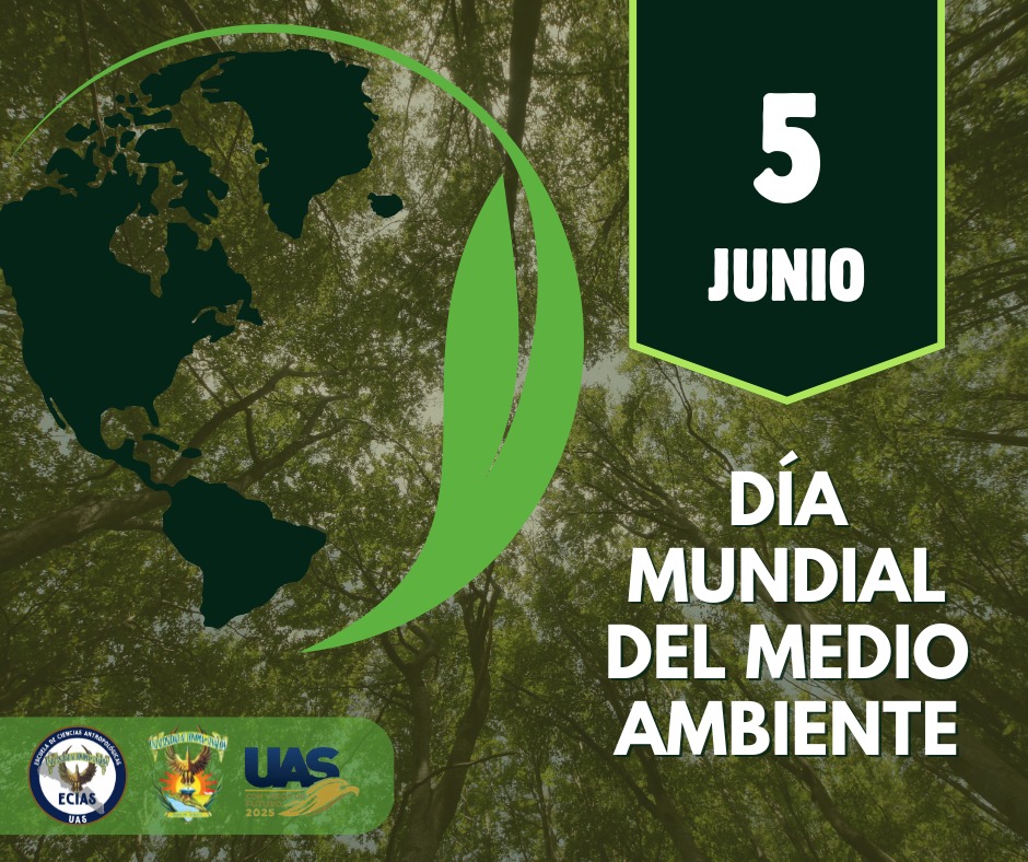 Escuela - 🌱🌍 Día Mundial del Medio Ambiente | 5 de junio 🌍🌱 Hoy ...