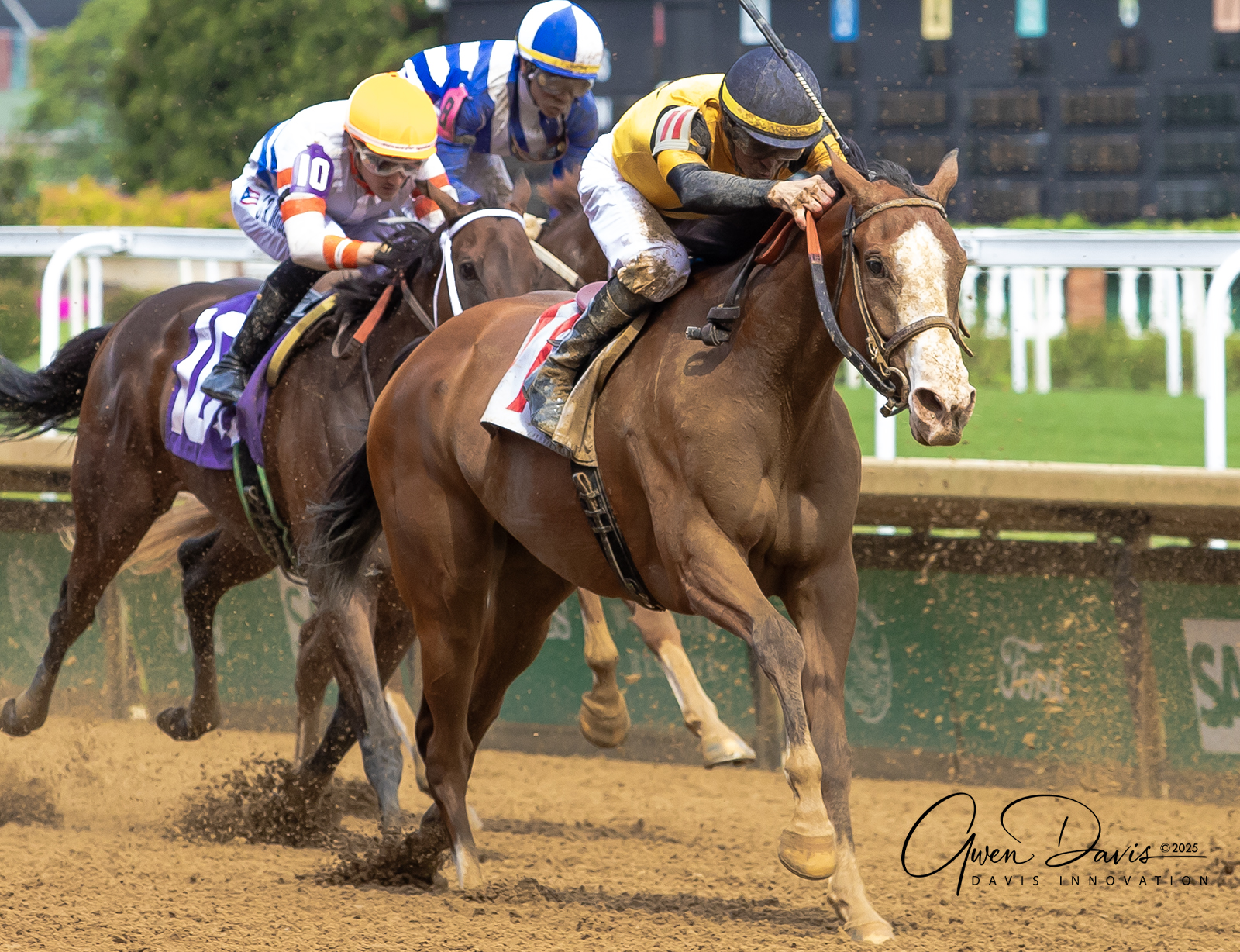Romans Racing Stables, Inc... - Romans Racing Stables, Inc