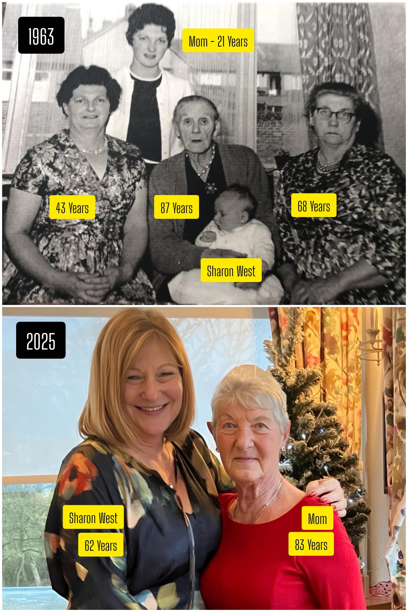 Pregnancy - In a heartwarming tribute to the passage of time, this ...