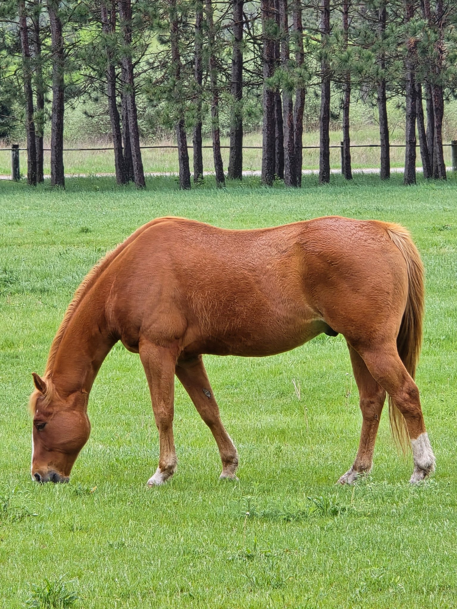 Healey's Outback Ranch - Just a reminder for all those that ...