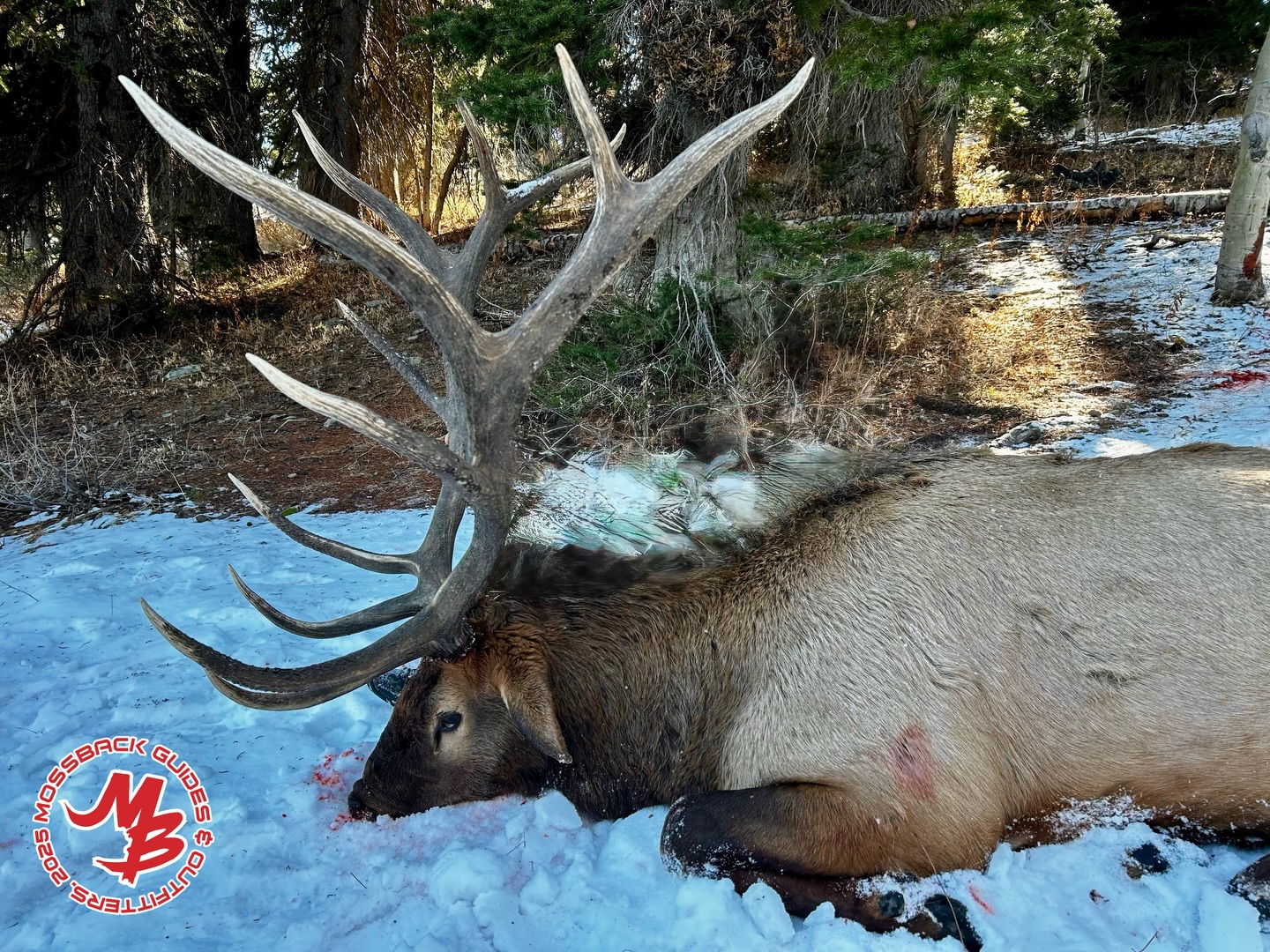 With some... - MossBack Guides and Outfitters / Productions | Facebook