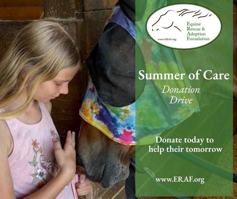 ERAF -... - ERAF - Equine Rescue and Adoption Foundation