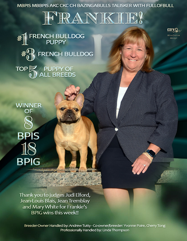 CDF Weekly Winner!! We... - Canadian Dog Fancier | Facebook