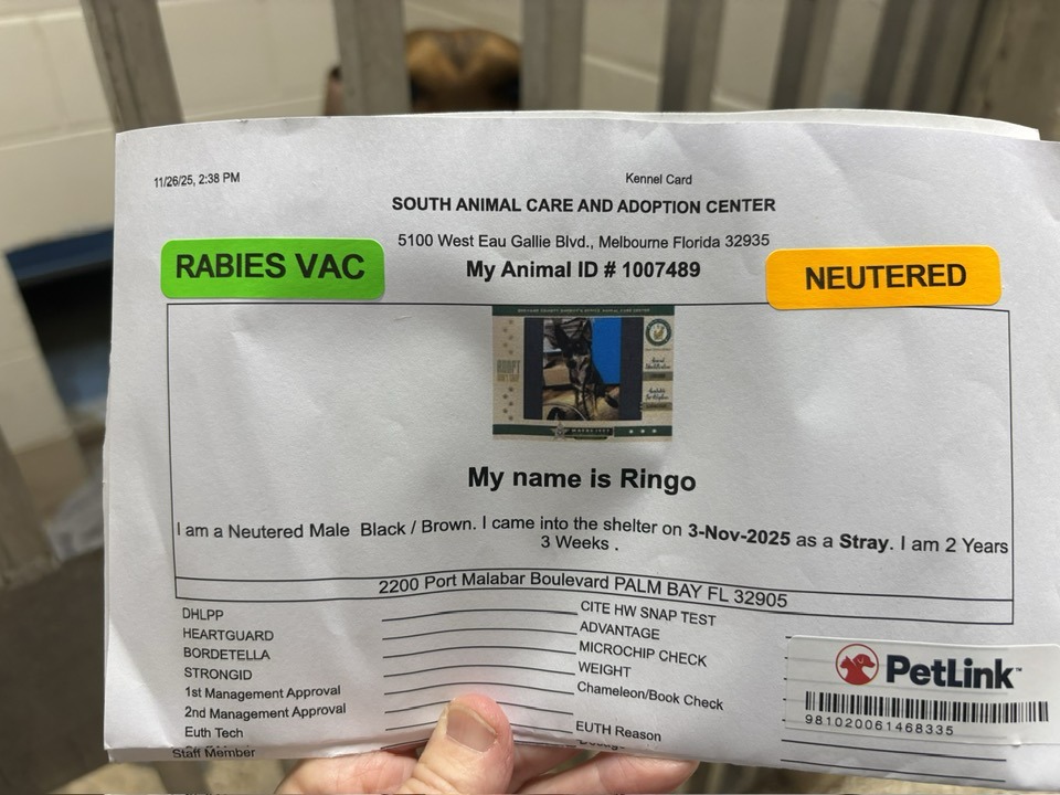 Brevard County, FL - South Animal Care and Adoption Center added a new ...