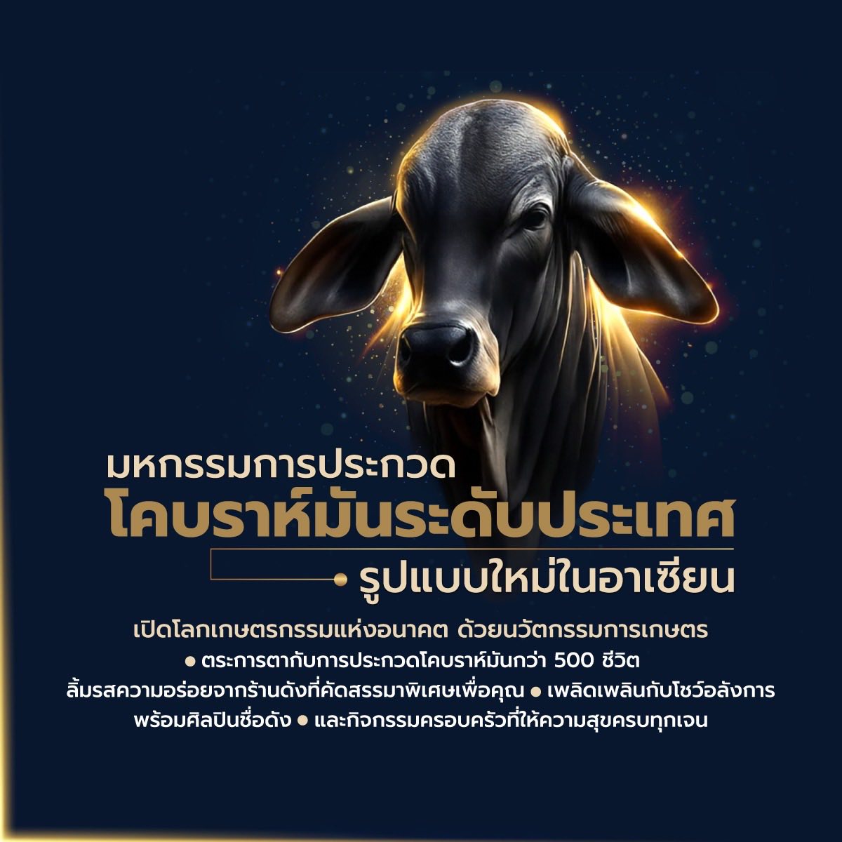 DG Ranch - Brahman &... - DG Ranch - Brahman & Beefmaster