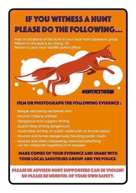Herts Wildlife Monitors