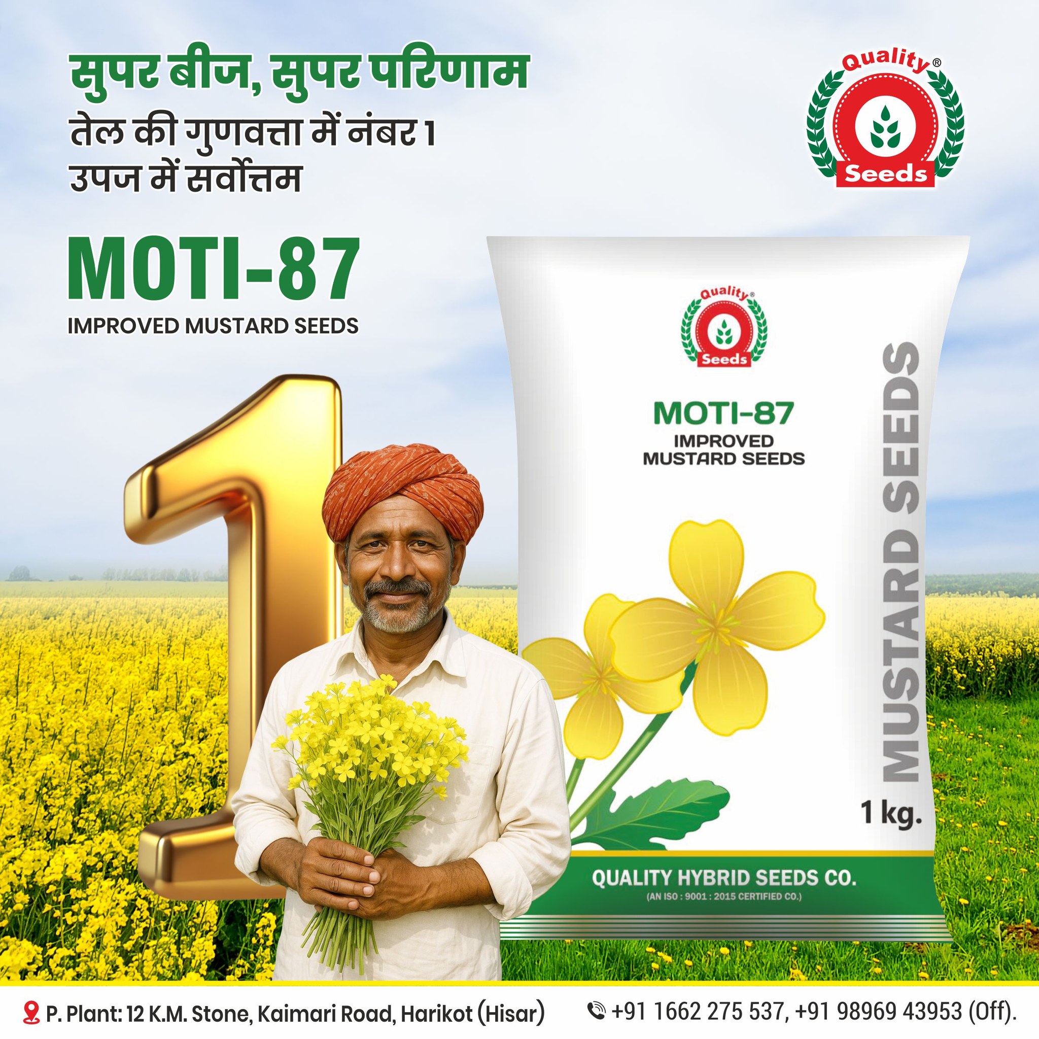 quality-seeds-hisar-hisar