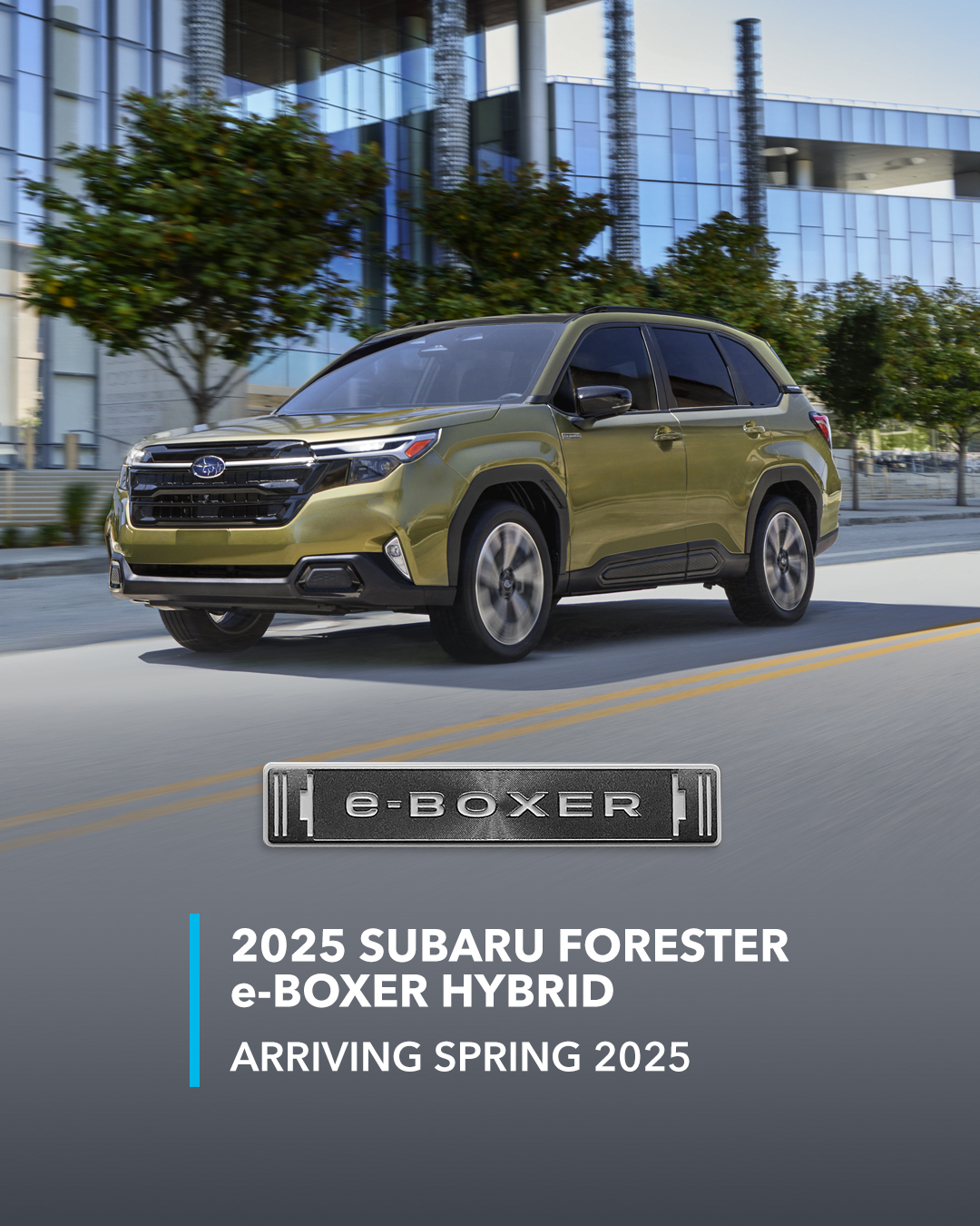 Steele Subaru - The adventures you love now come... | Facebook