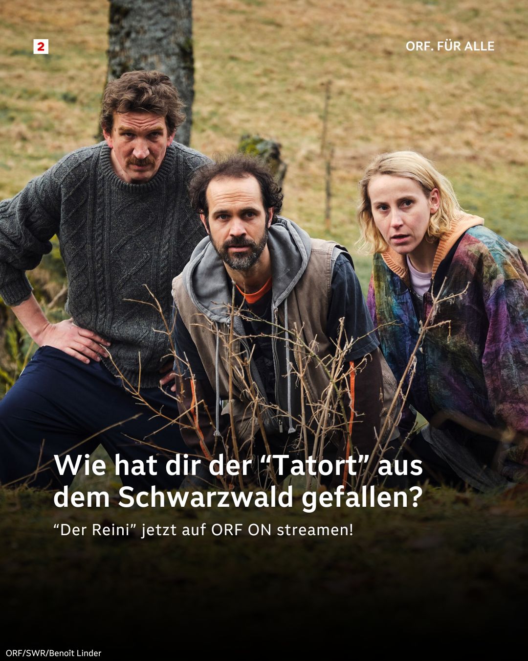 ORF 2 - Wie hat dir der gestrige 